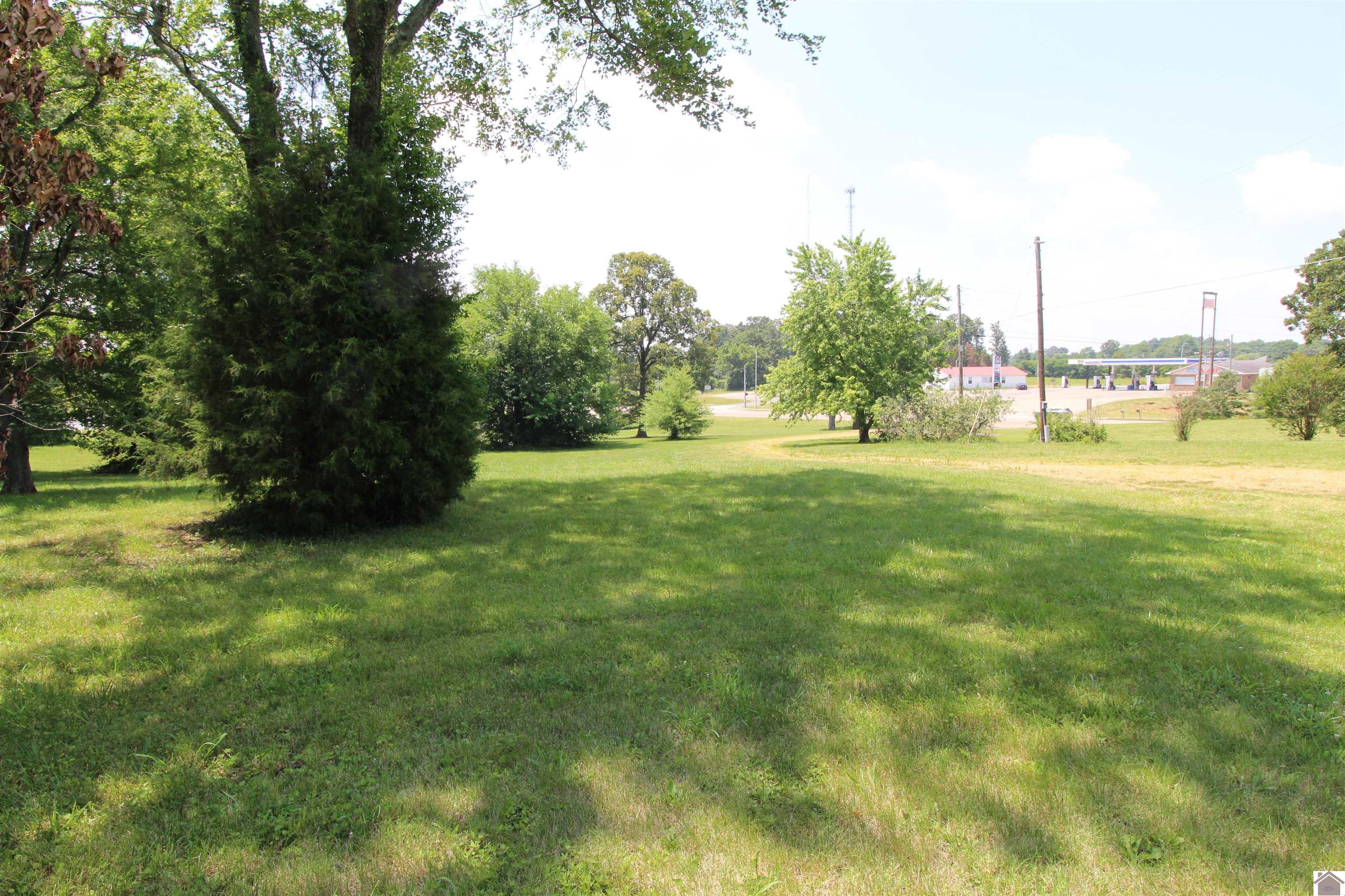 00 N State Route 121, Mayfield, KY 42066 Listing Photo  15