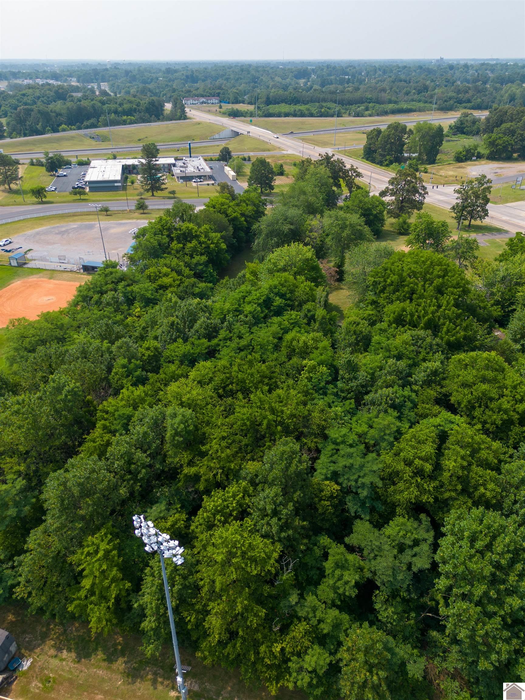 00 N State Route 121, Mayfield, KY 42066 Listing Photo  9