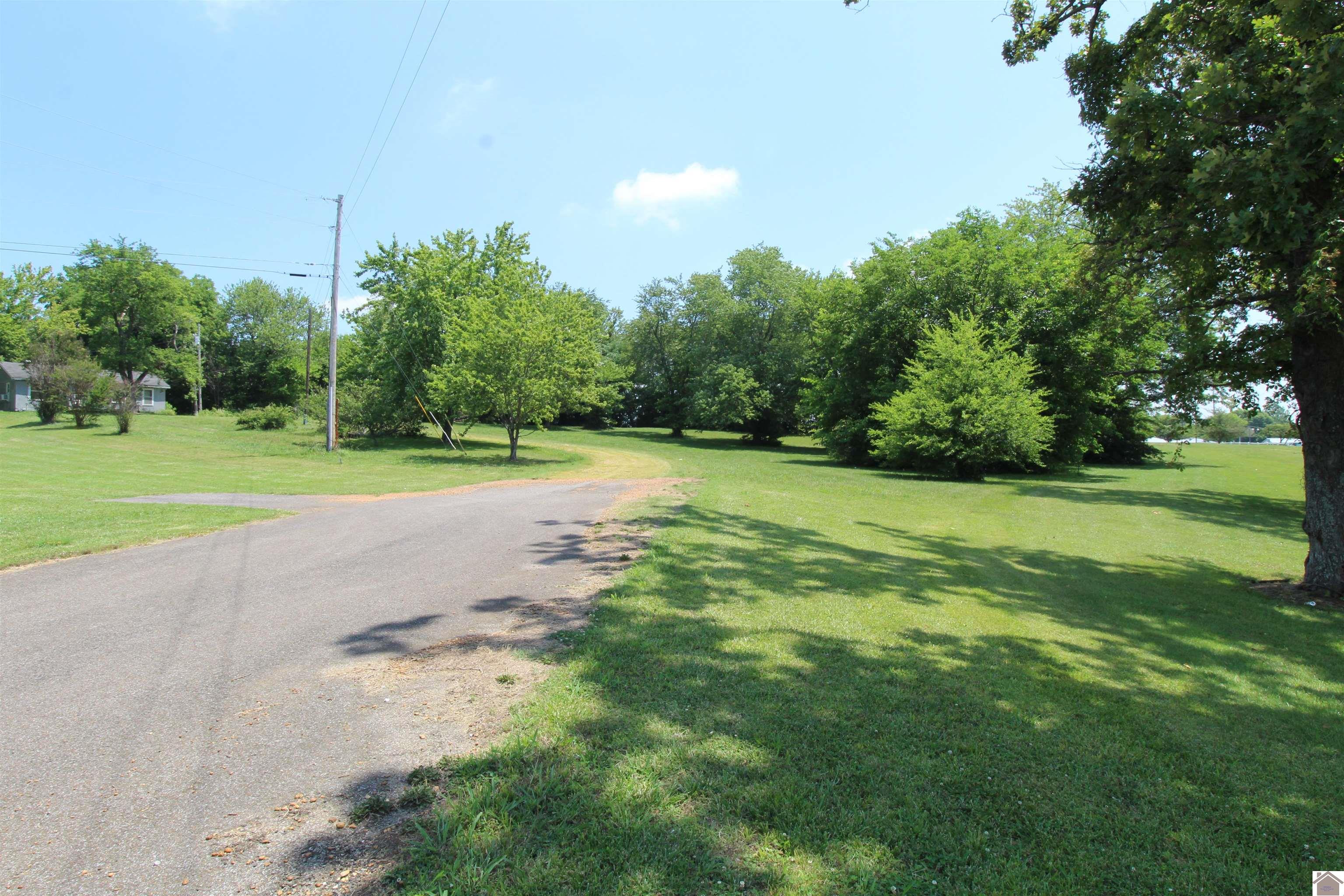 00 N State Route 121, Mayfield, KY 42066 Listing Photo  10
