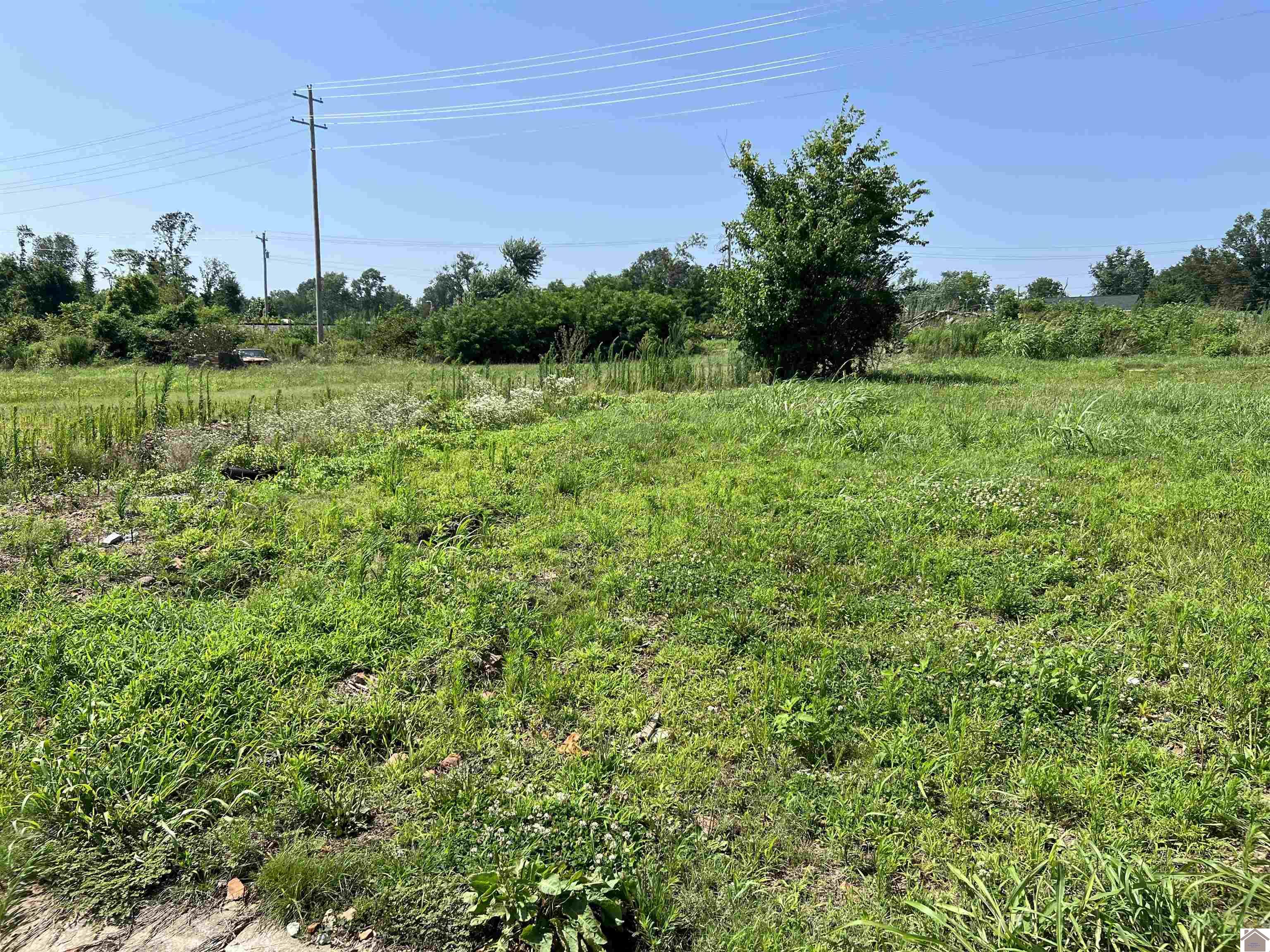 807 Beech Mayfield KY 42066 Sold