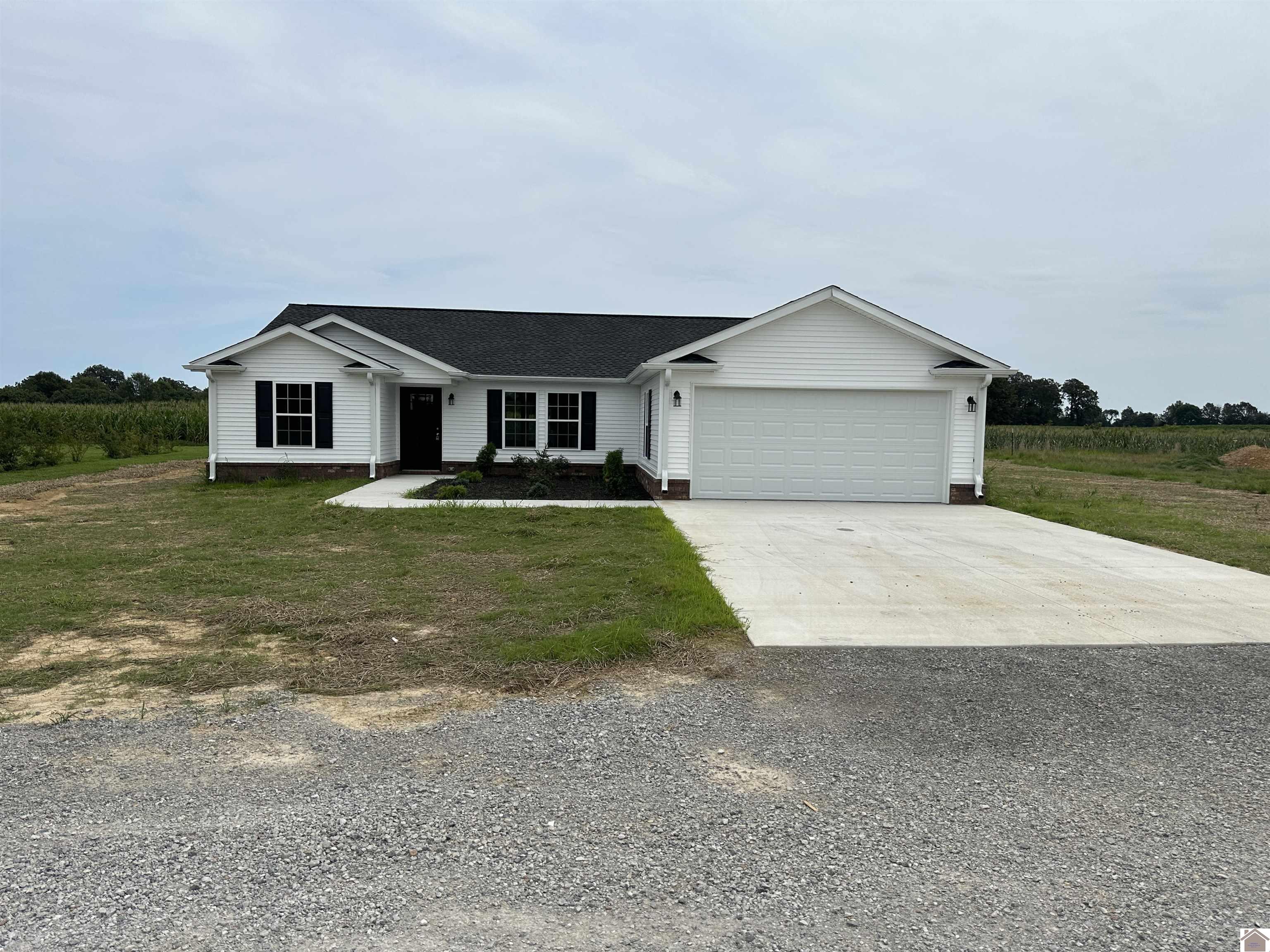 290 Dana Lane, Mayfield, KY 42066 Listing Photo  1
