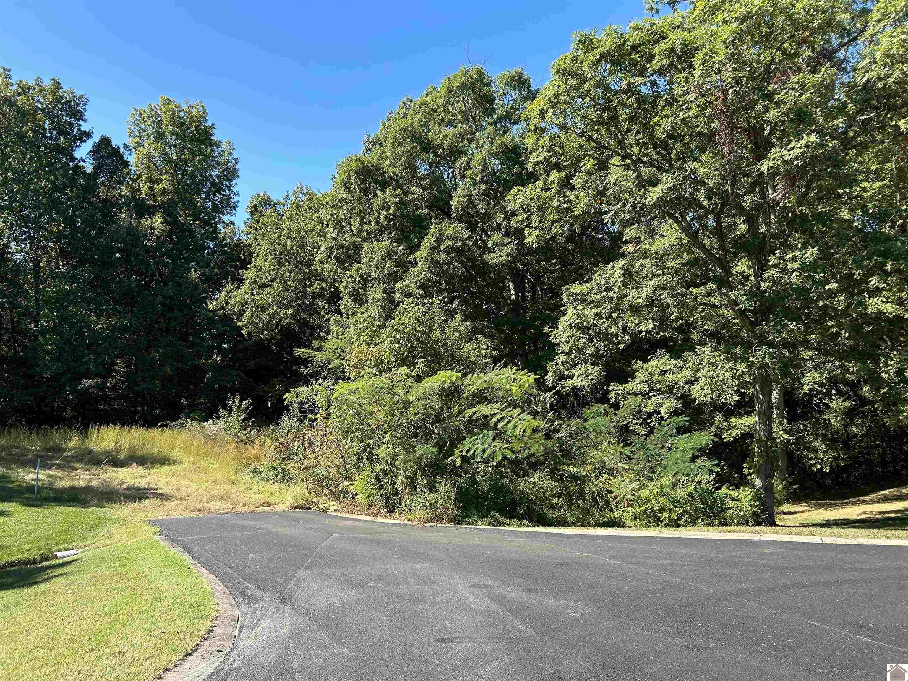 Lot 18 Seneca Ct. Benton KY 42025 Active