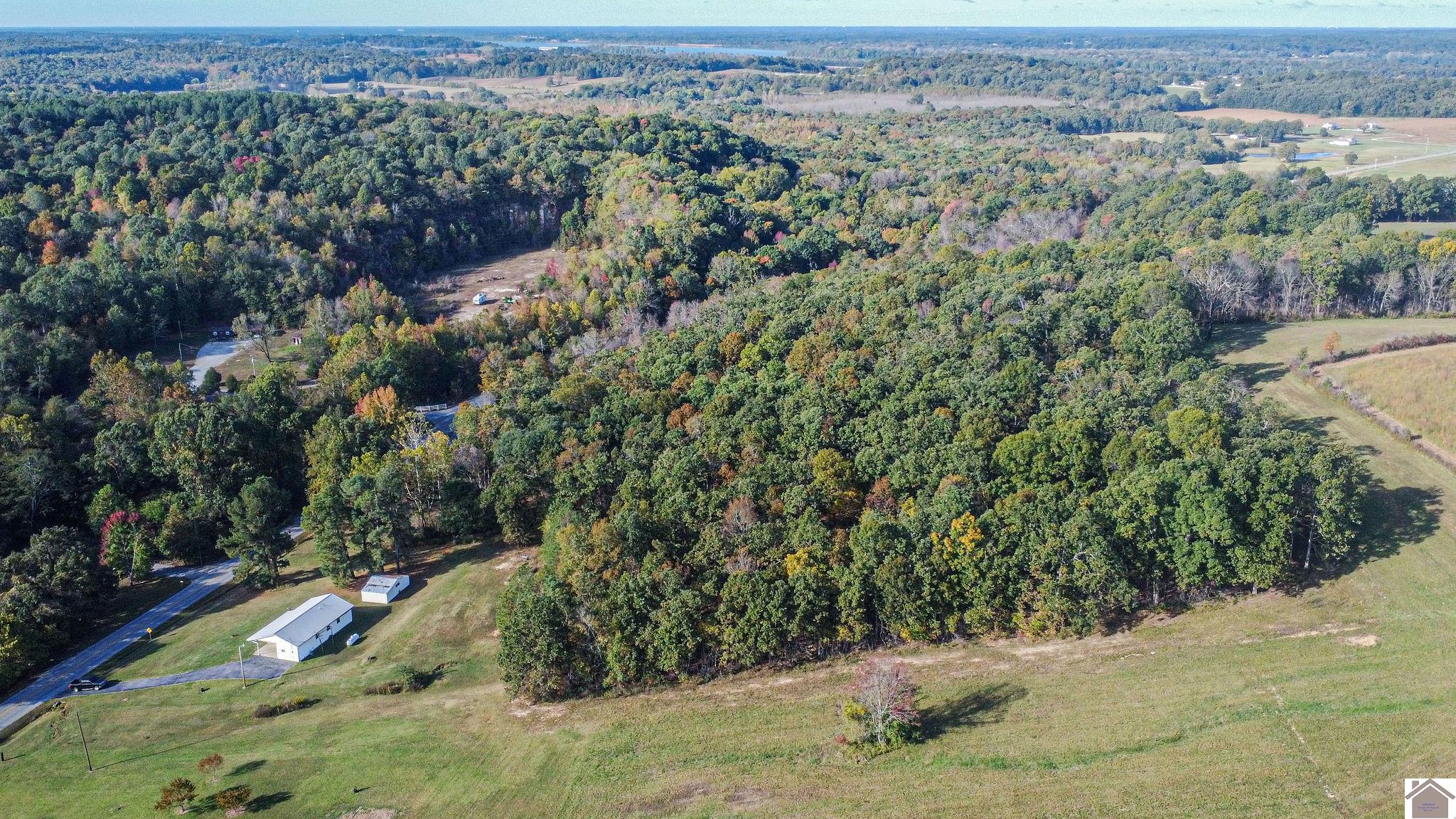 834 Tiline Rd Smithland KY 42081 Sold