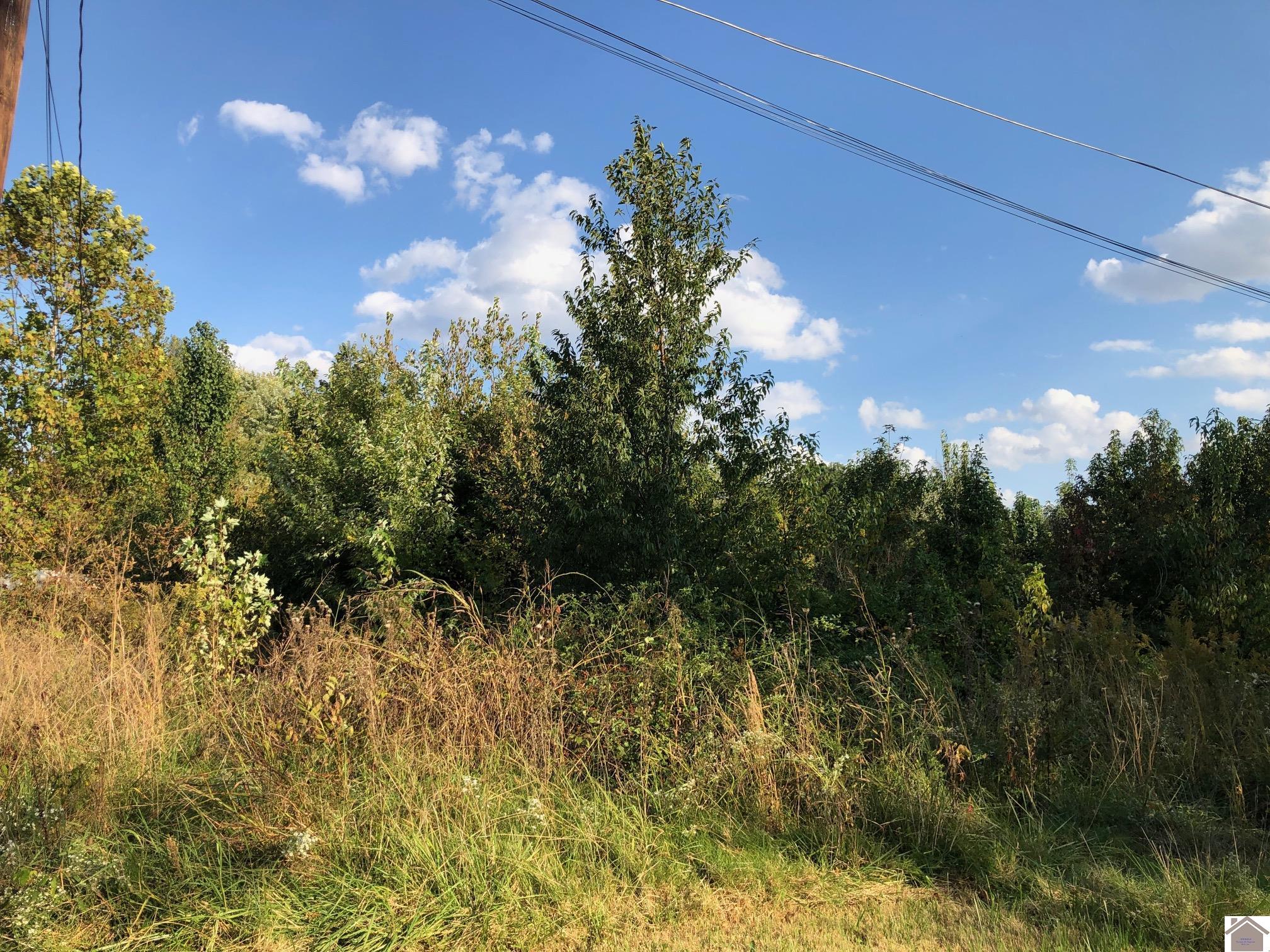 Lot 41 Chris Drive Mayfield KY 42066 Active