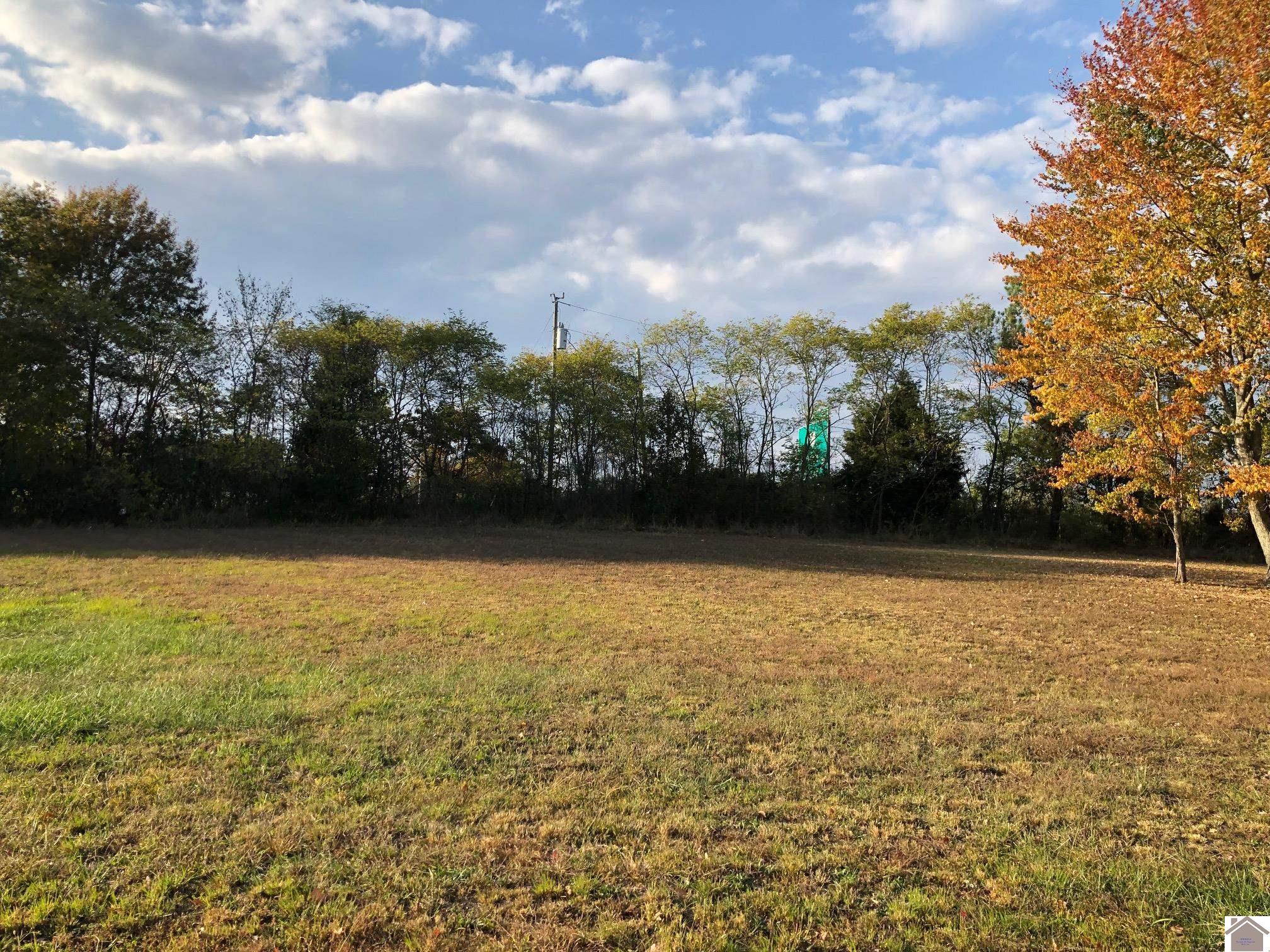 Lot 39 Masters Drive Mayfield KY 42066 Active