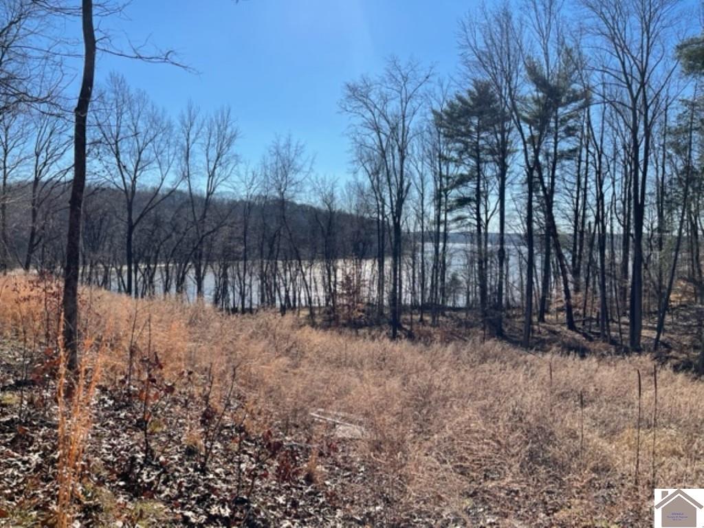 Lot 3 Waterfowl Way Cadiz KY 42211 Active