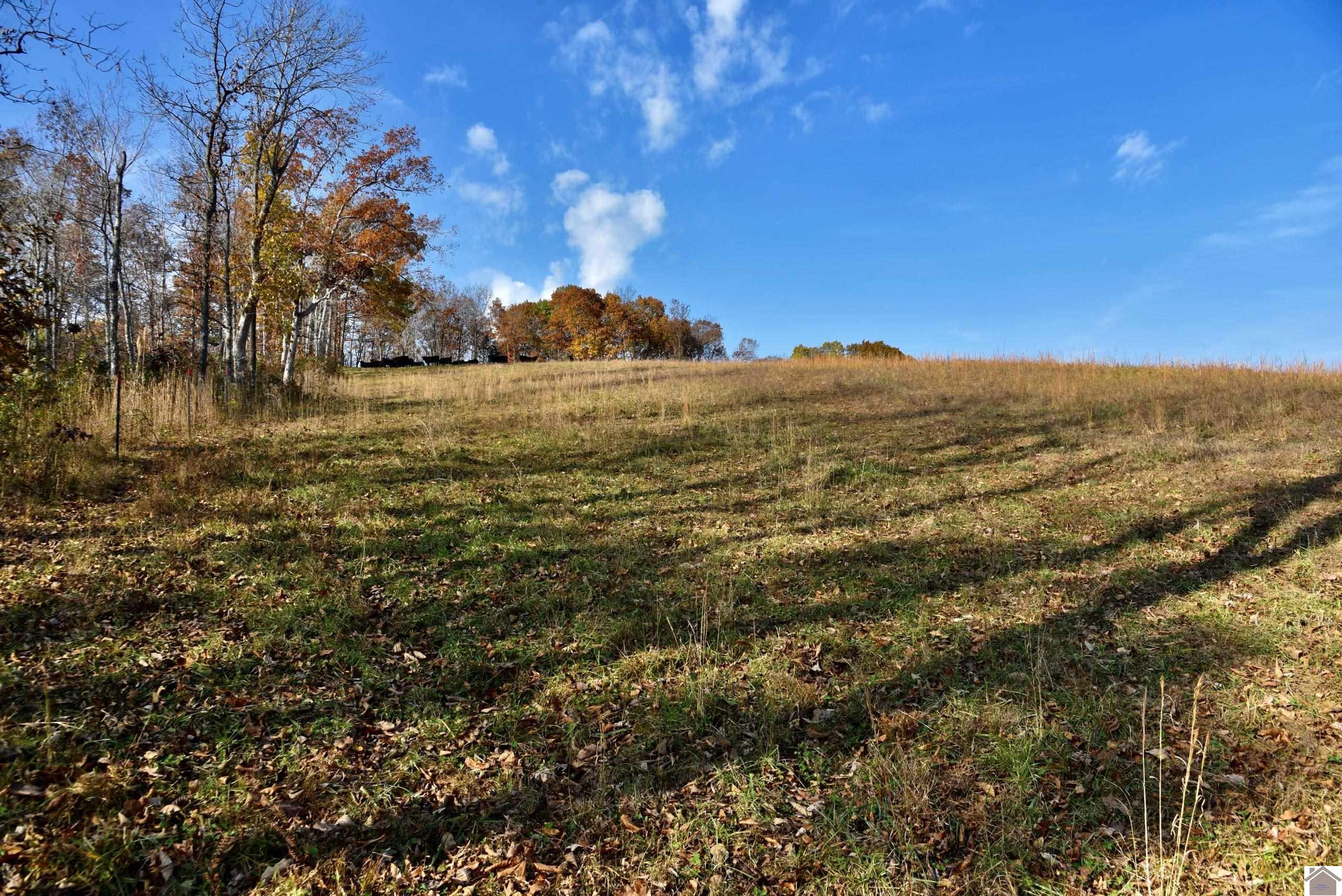 3557 State Route 654 North Marion KY 42064 Active