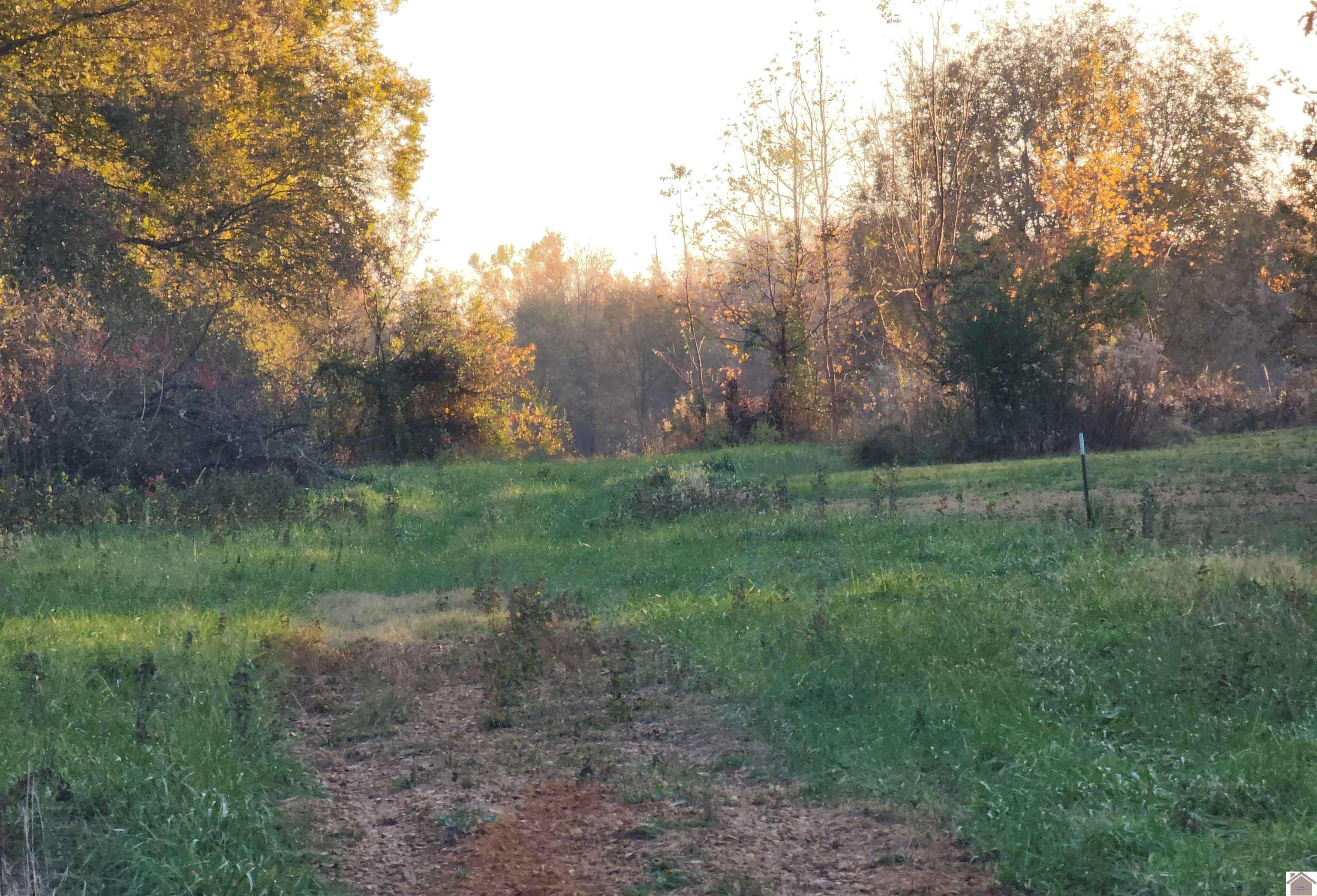 6520 Old Cairo Rd Paducah KY 42001 Active