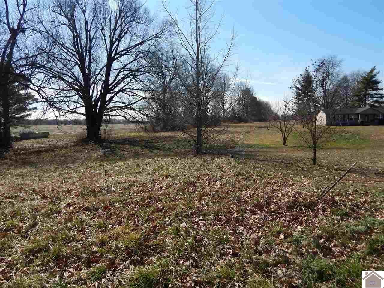 6520 Old Cairo Rd Paducah KY 42001 Active