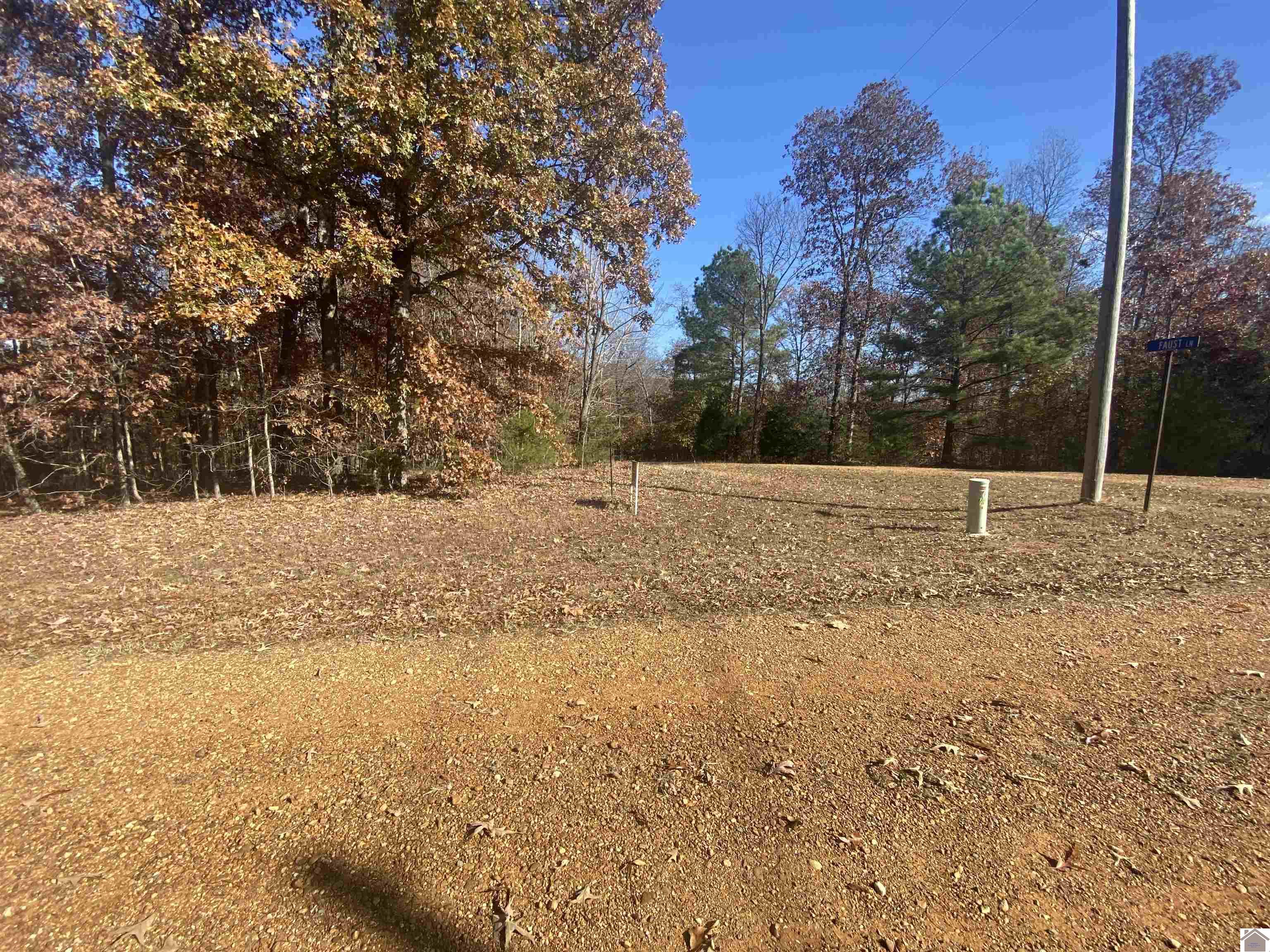 000 Faust Road, Benton, KY 42045 Listing Photo  2