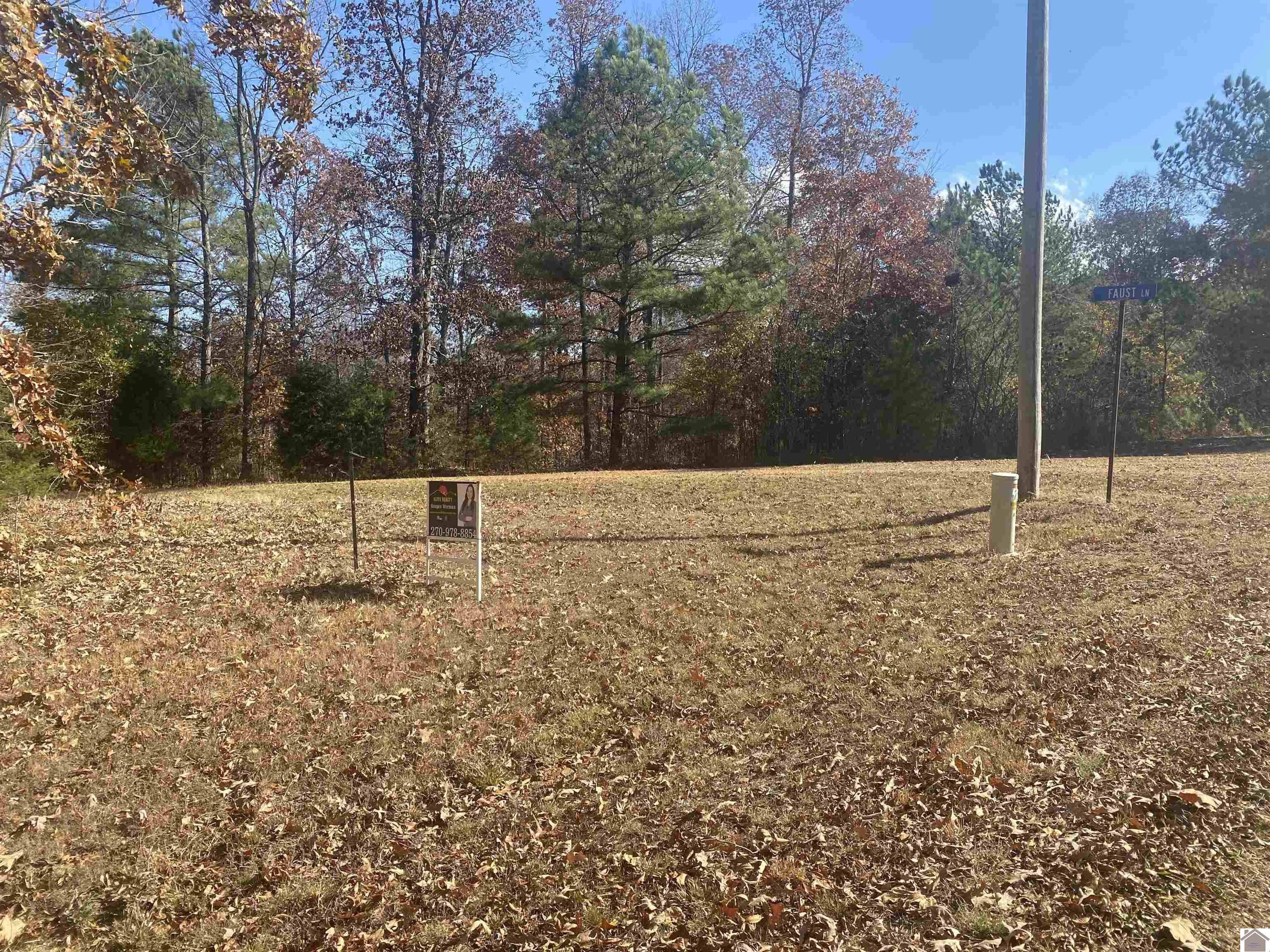 000 Faust Road, Benton, KY 42045 Listing Photo  5