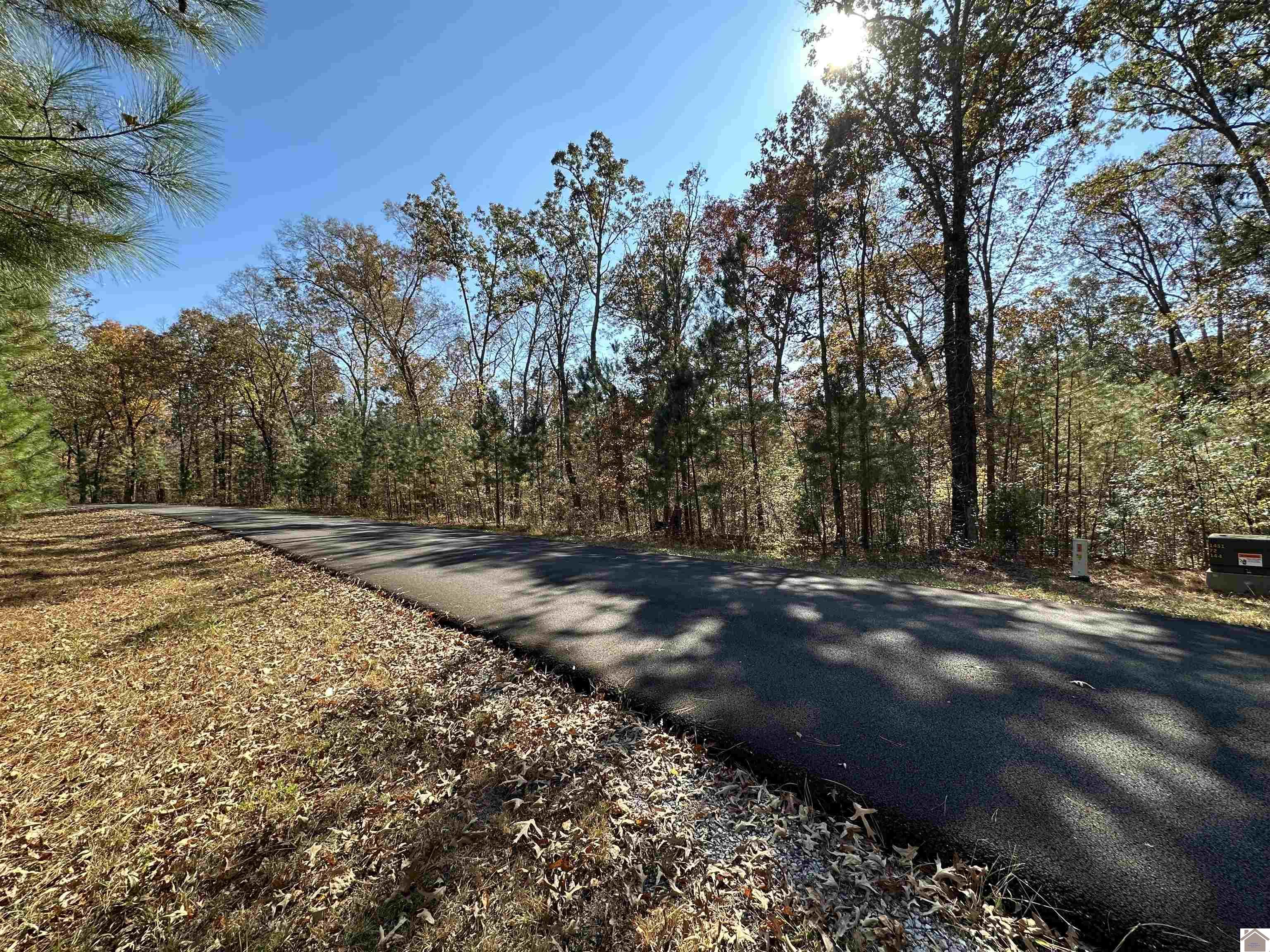 Lot 31 Whitecap Lane Murray KY 42071 Active