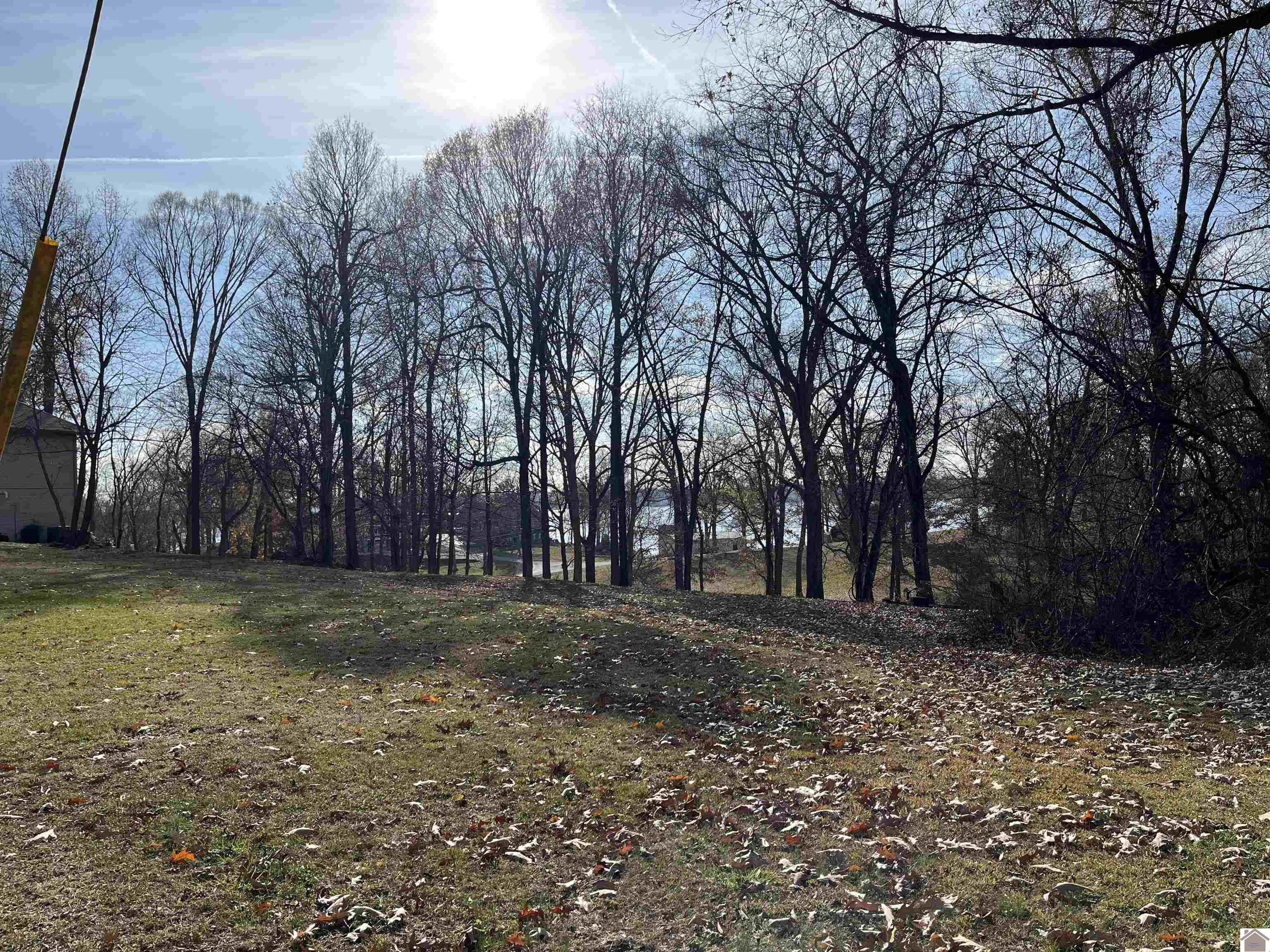 Lot 76 Rolling Mill Road, Eddyville, KY 42038 Listing Photo  2