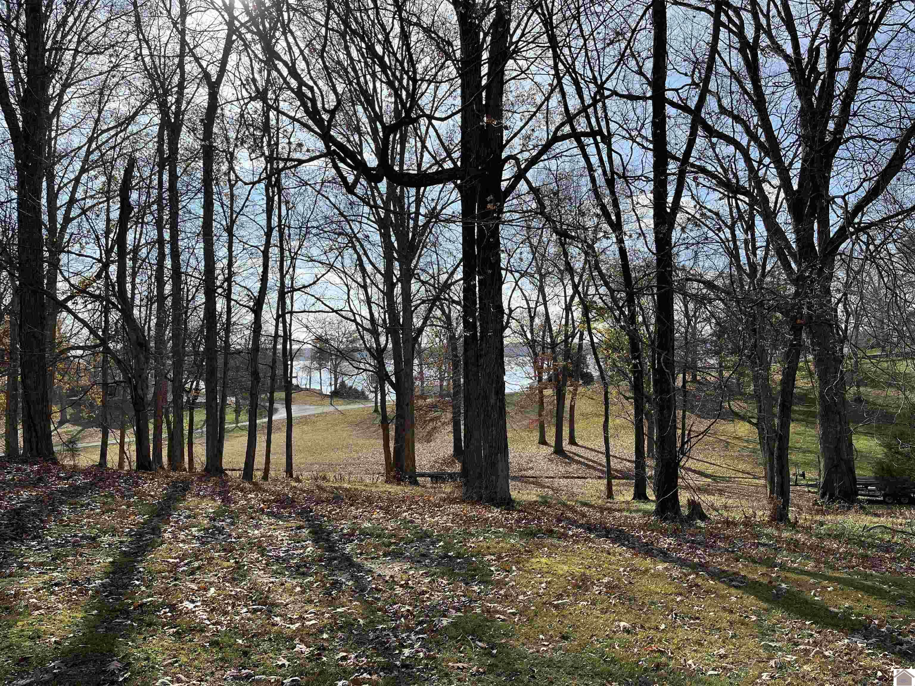 Lot 76 Rolling Mill Road, Eddyville, KY 42038 Listing Photo  3