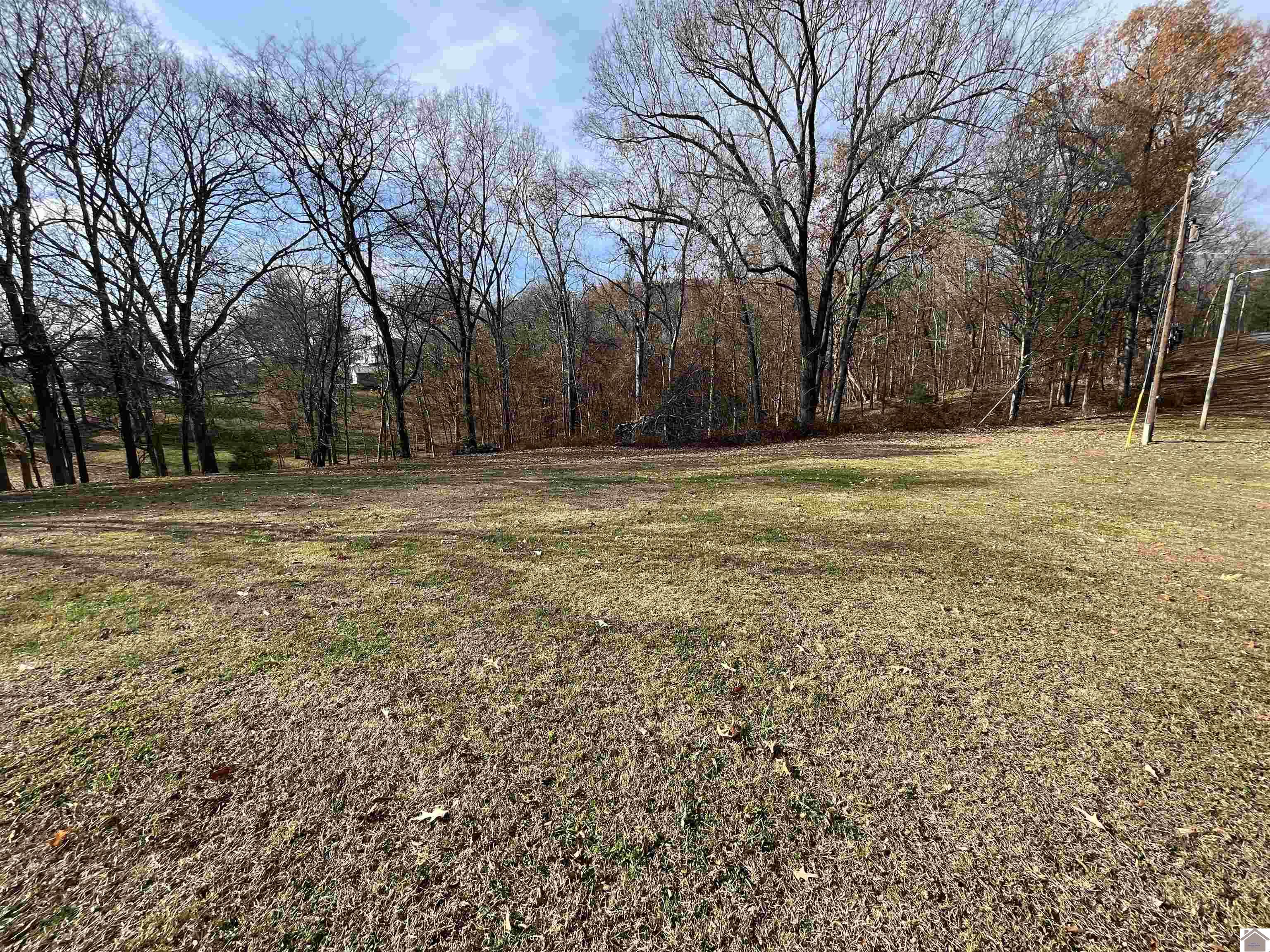 Lot 76 Rolling Mill Road, Eddyville, KY 42038 Listing Photo  5