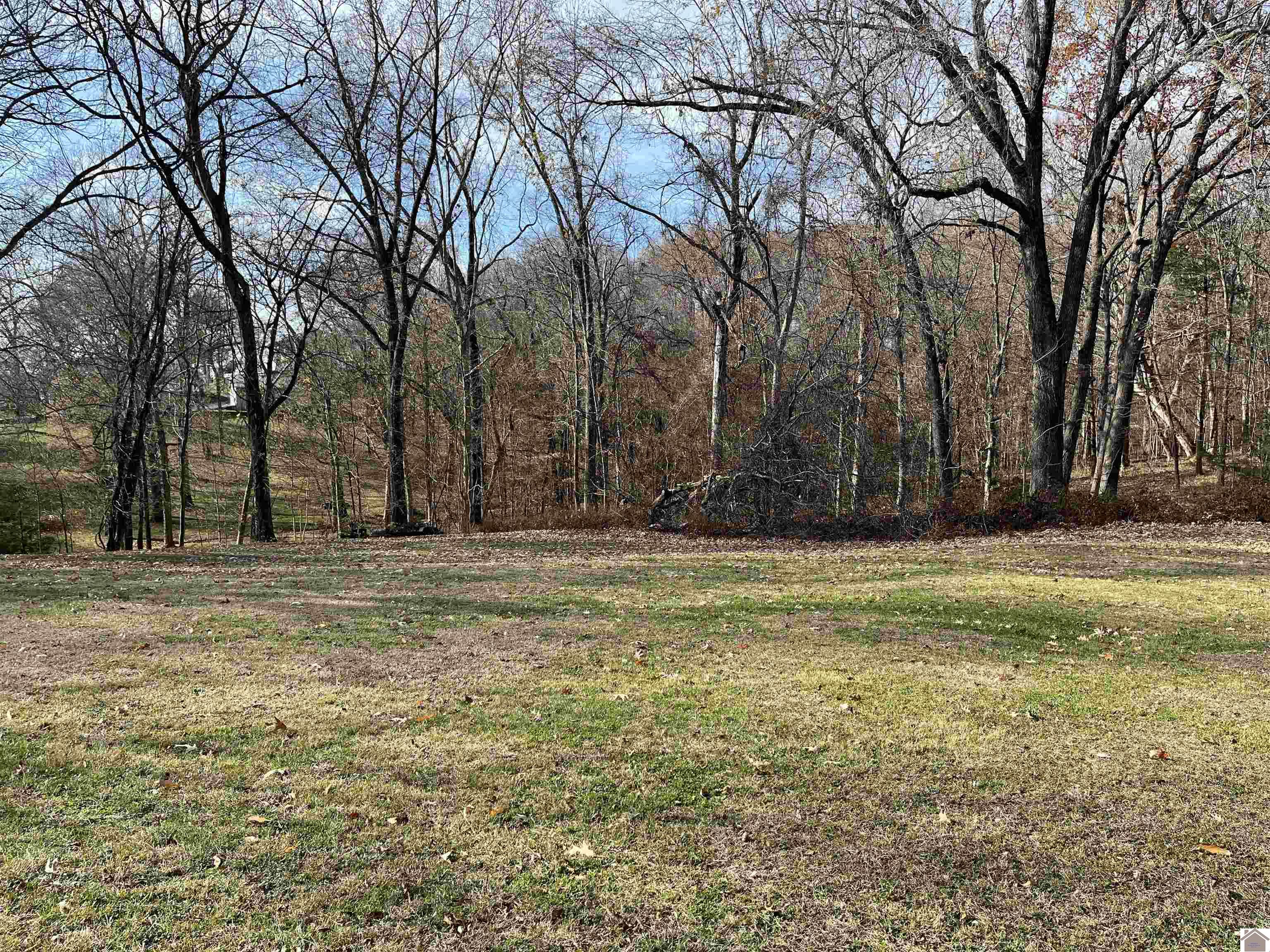 Lot 76 Rolling Mill Road, Eddyville, KY 42038 Listing Photo  7