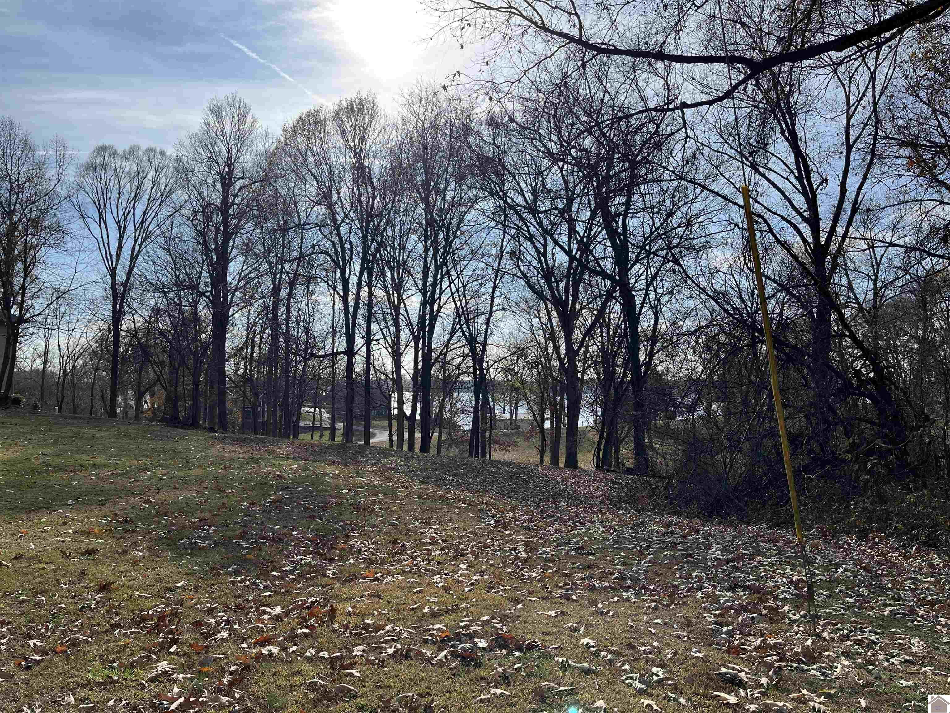 Lot 76 Rolling Mill Road, Eddyville, KY 42038 Listing Photo  8