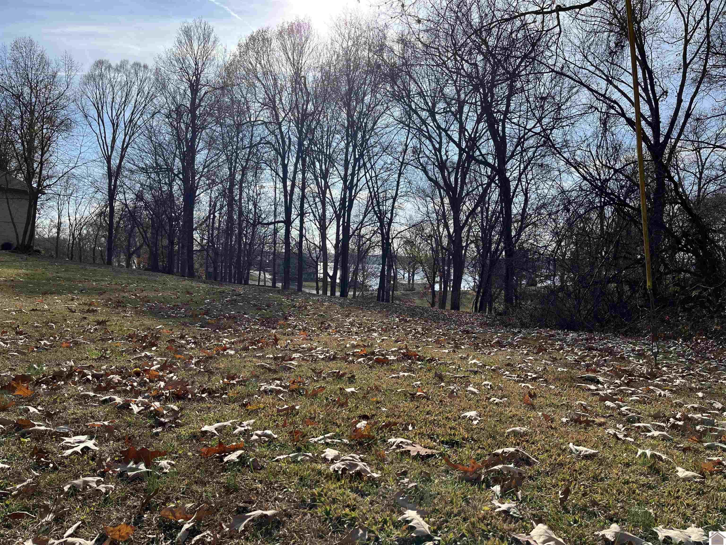 Lot 76 Rolling Mill Road, Eddyville, KY 42038 Listing Photo  9