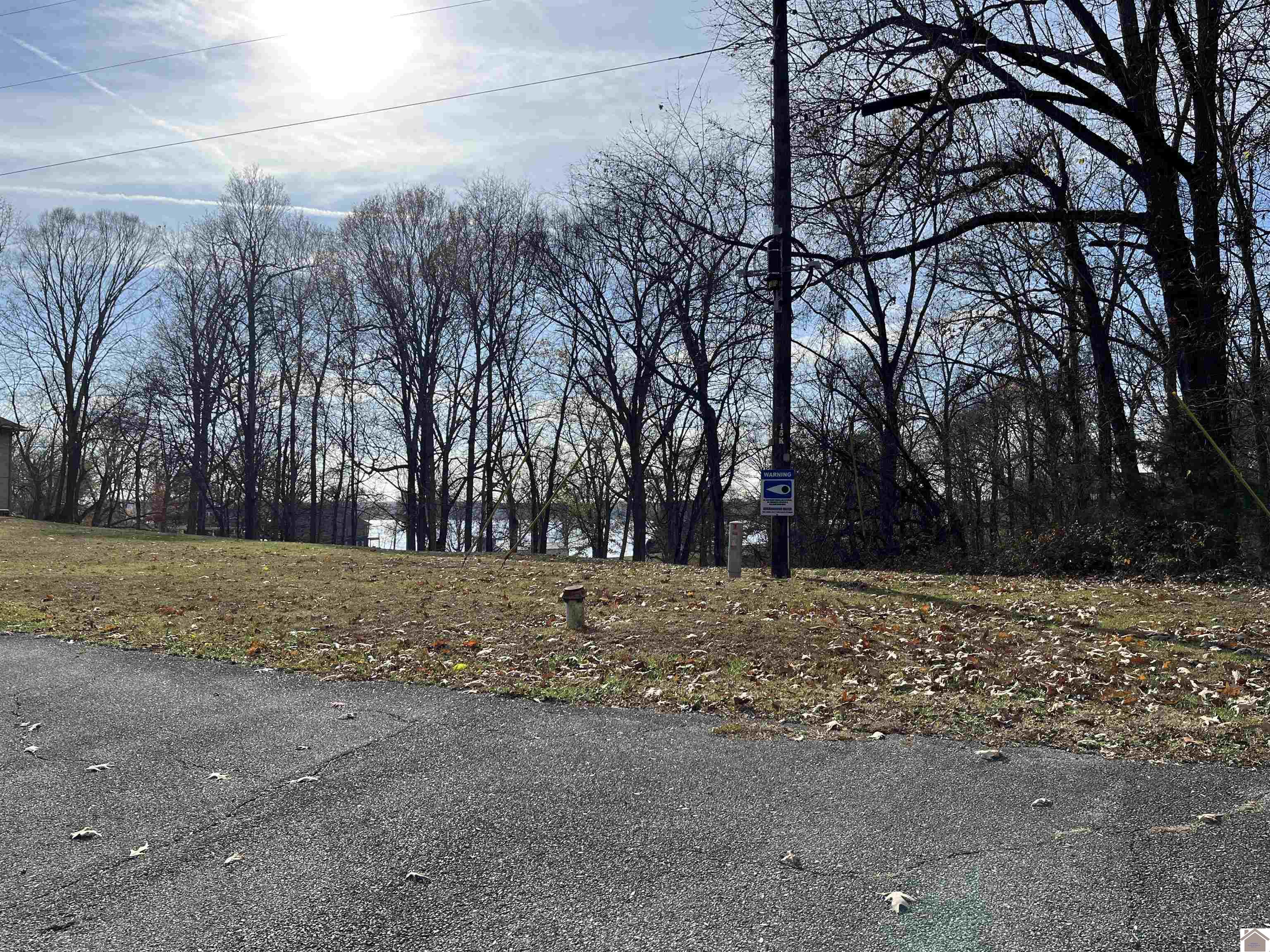 Lot 76 Rolling Mill Road, Eddyville, KY 42038 Listing Photo  10