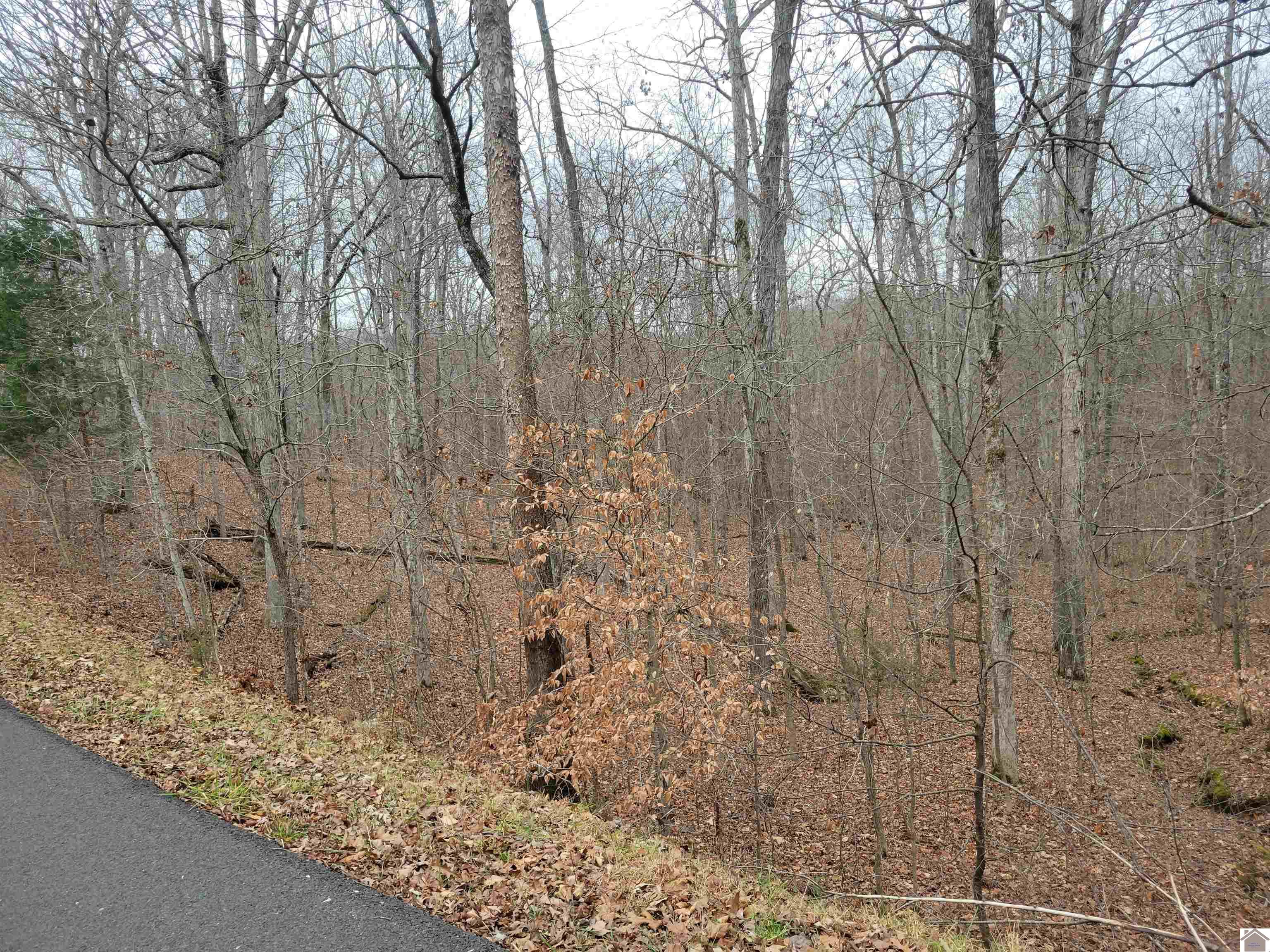 000 Parkview Drive Eddyville KY 42038 Active