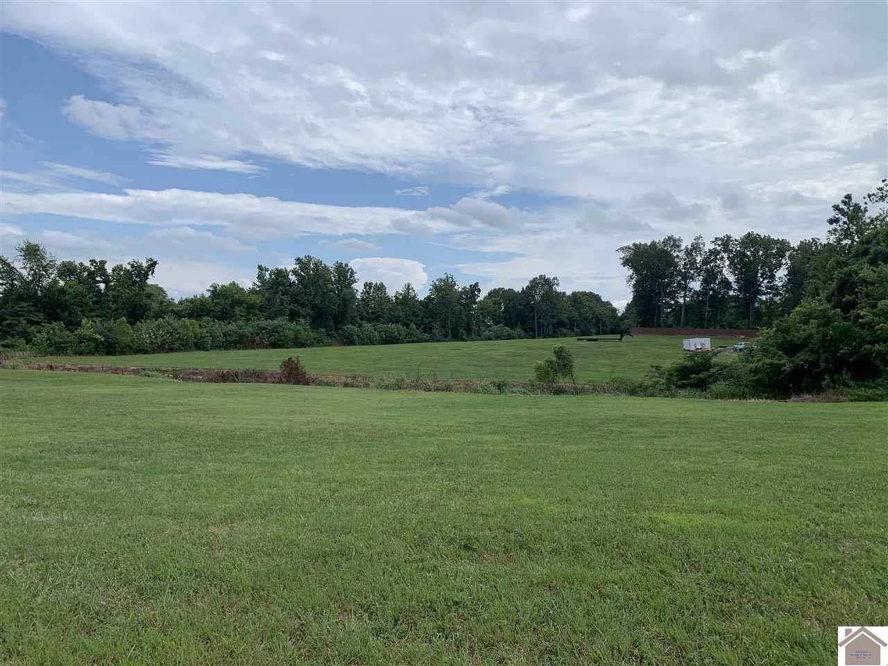 000 Old Symsonia Rd, Benton, KY 42025 Listing Photo  1