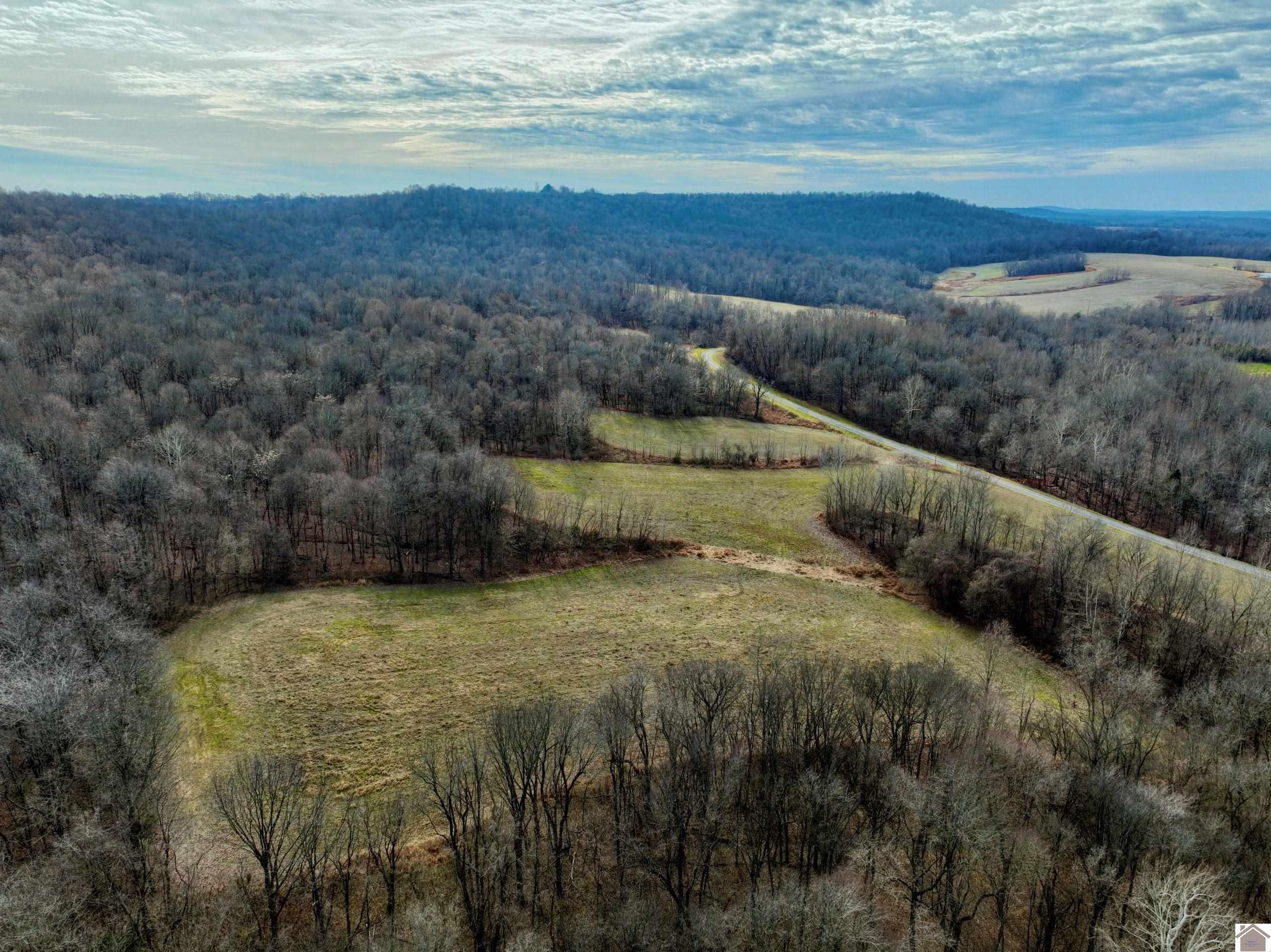 3000 State Route 387, Marion, KY 42064 Listing Photo  34