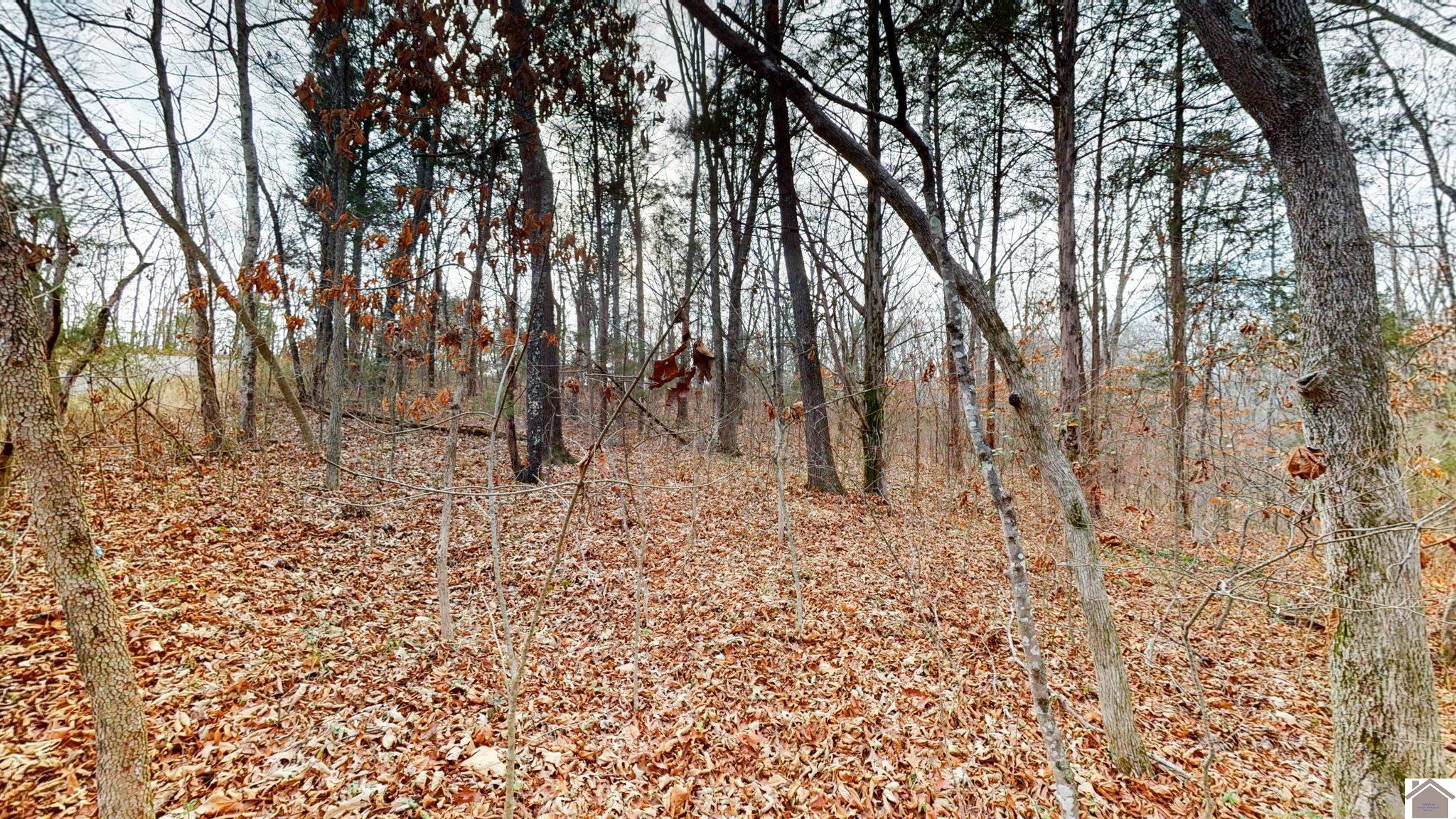 000 Kline Trail (Lot 18) New Concord KY 42076 Sold