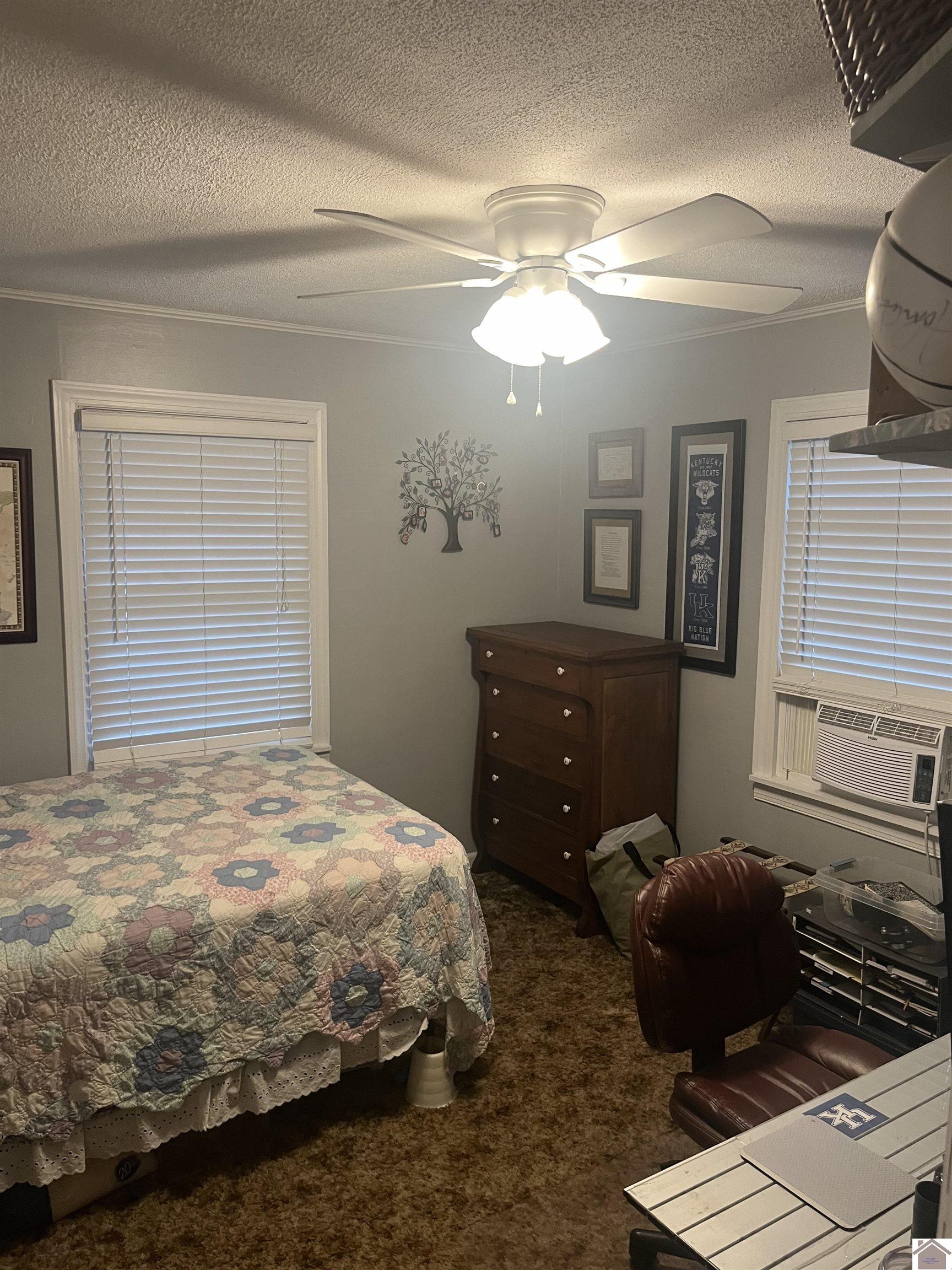 309 Faye Dr Ledbetter KY 42058 Active