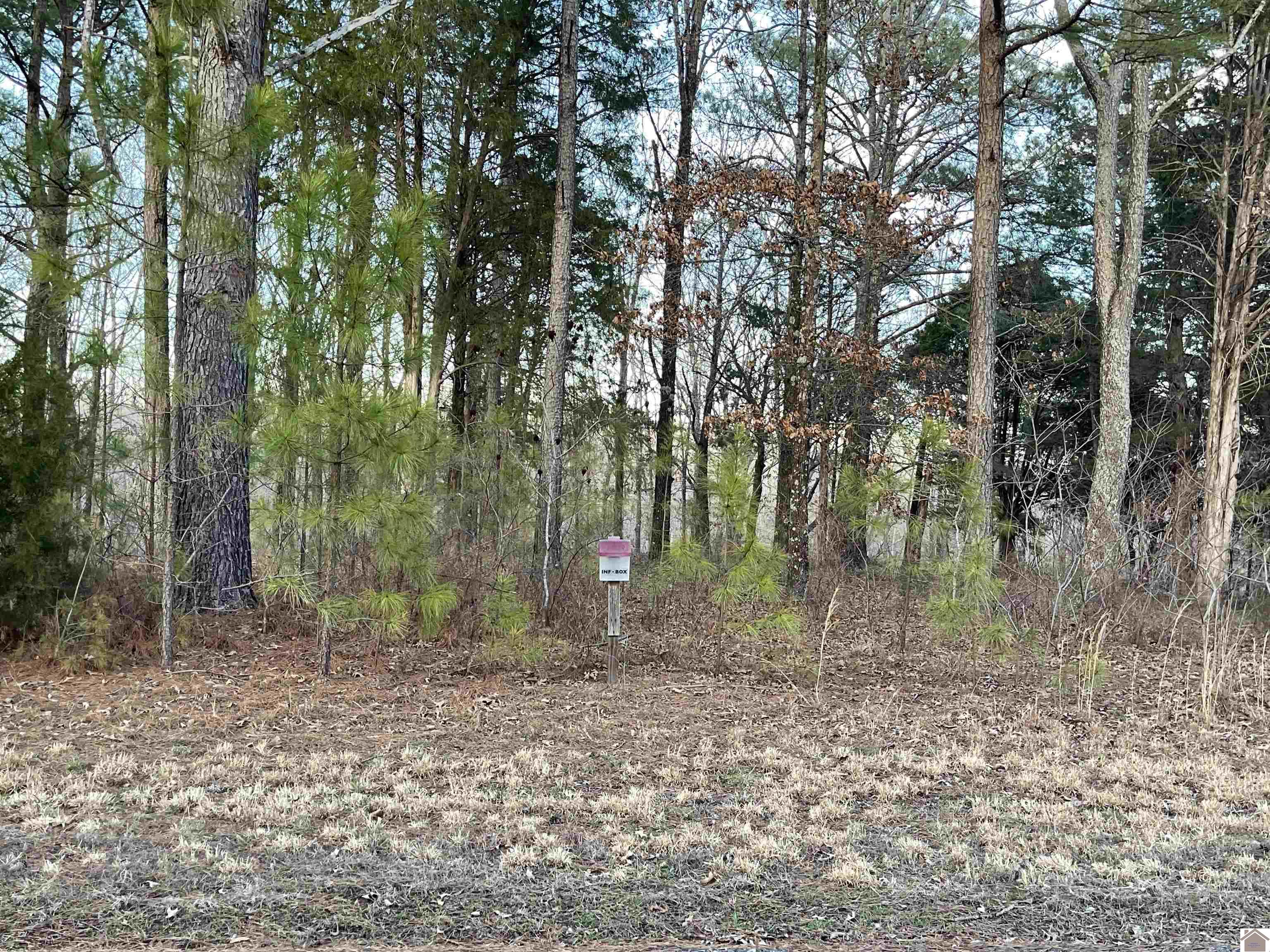 LOT 13 Hills Hollow Road, Murray, KY 42071 Listing Photo  3