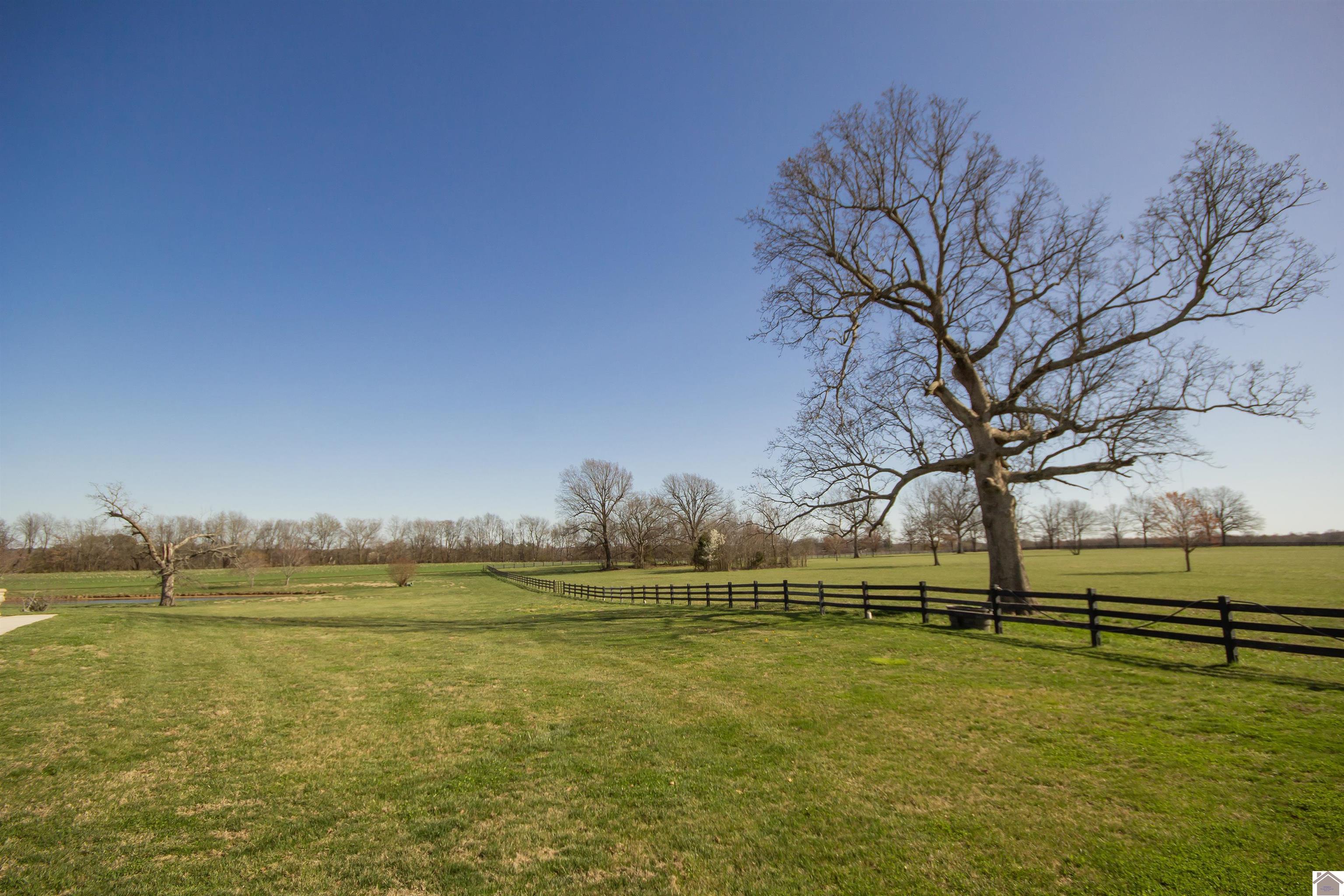 7470 Old Hinkleville Road, West Paducah, KY 42086 Listing Photo  28