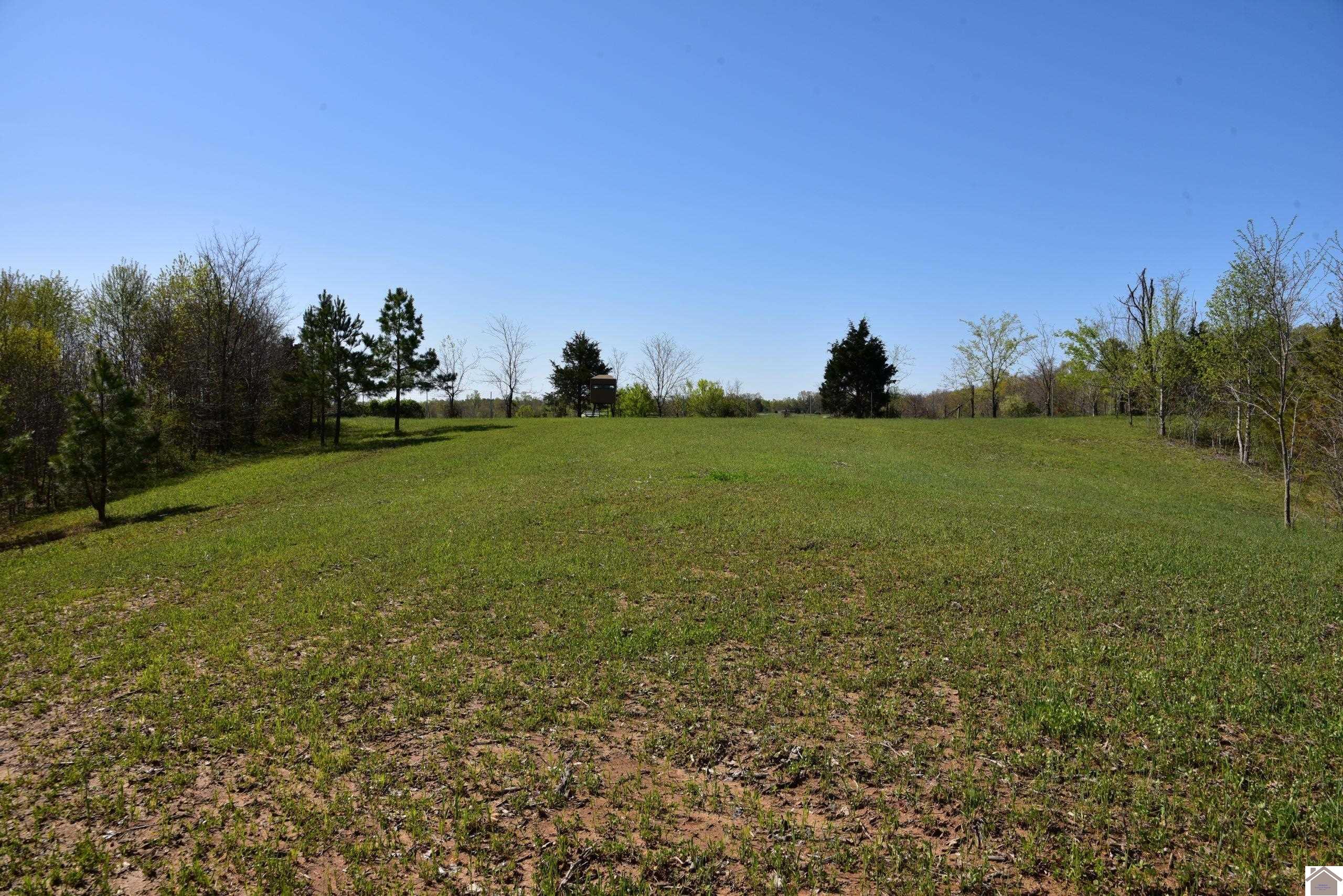 2695 Grubbs Rd, New Concord, KY 42076 Listing Photo  28