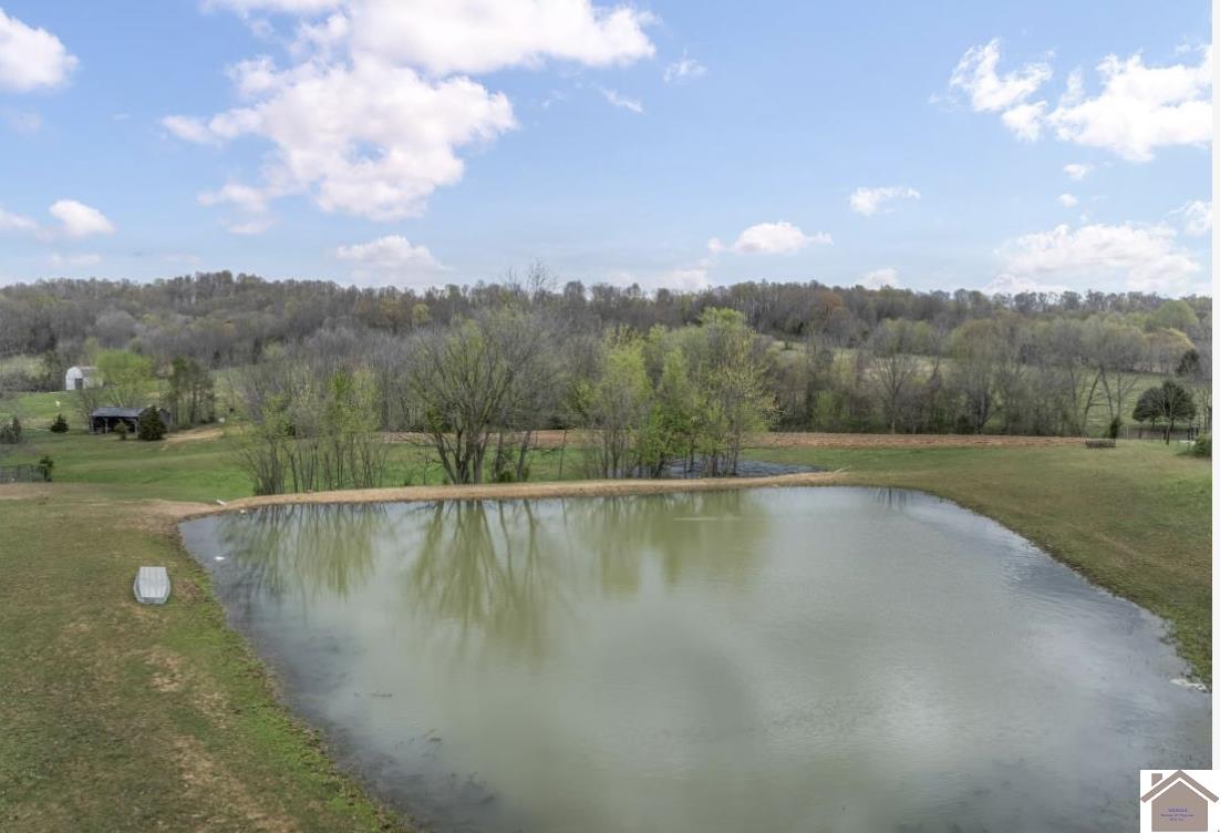 1580 Hwy 654, Marion, KY 42064 Listing Photo  4