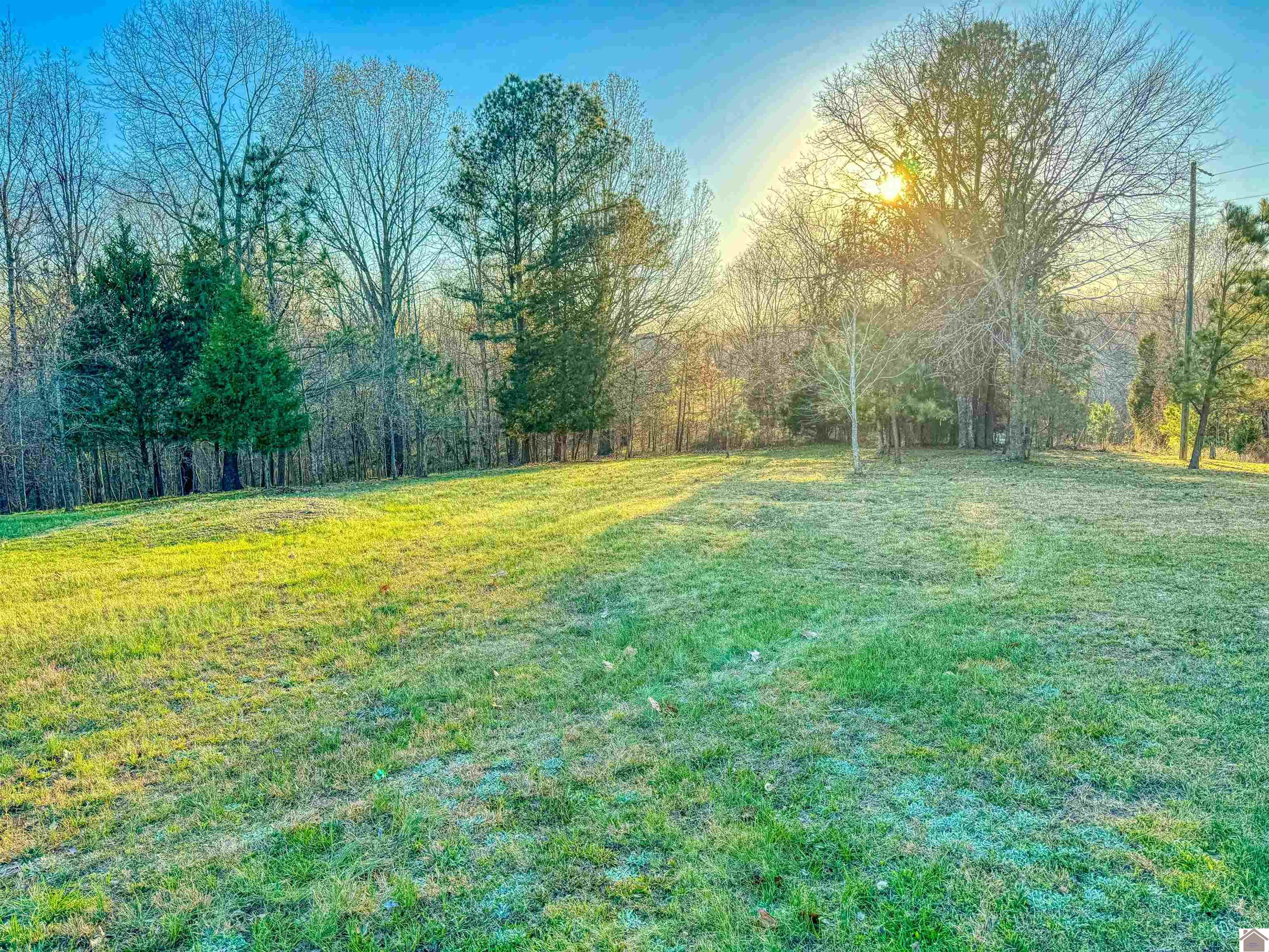Lot 56 Patricia Drive, New Concord, KY 42076 Listing Photo  11