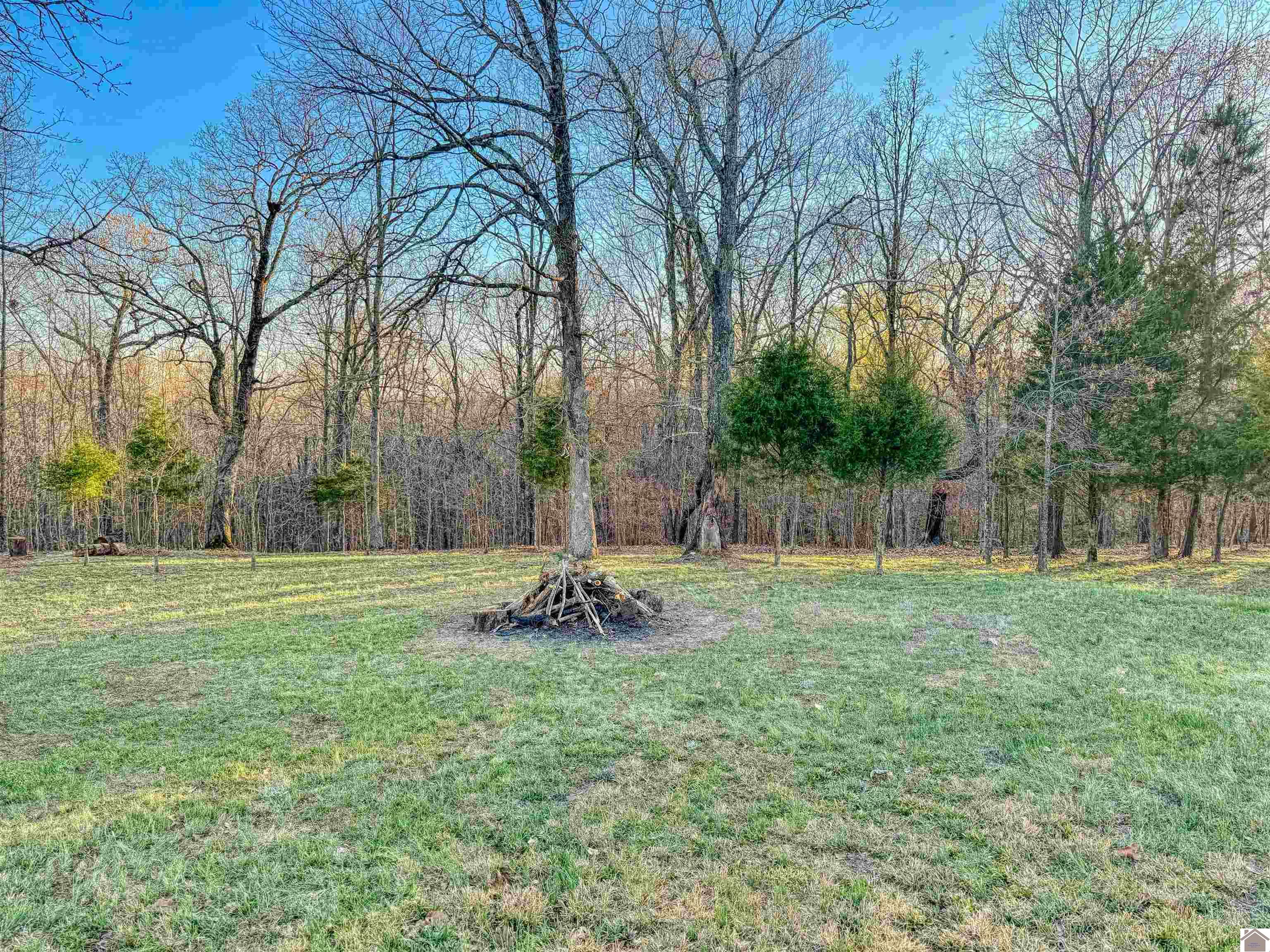Lot 56 Patricia Drive, New Concord, KY 42076 Listing Photo  12