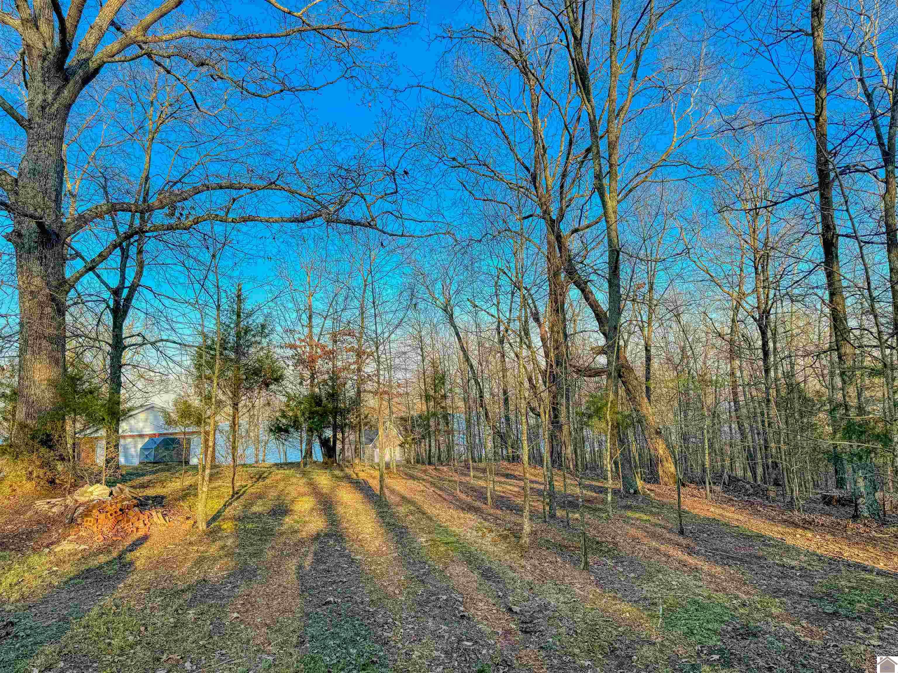 Lot 56 Patricia Drive, New Concord, KY 42076 Listing Photo  14