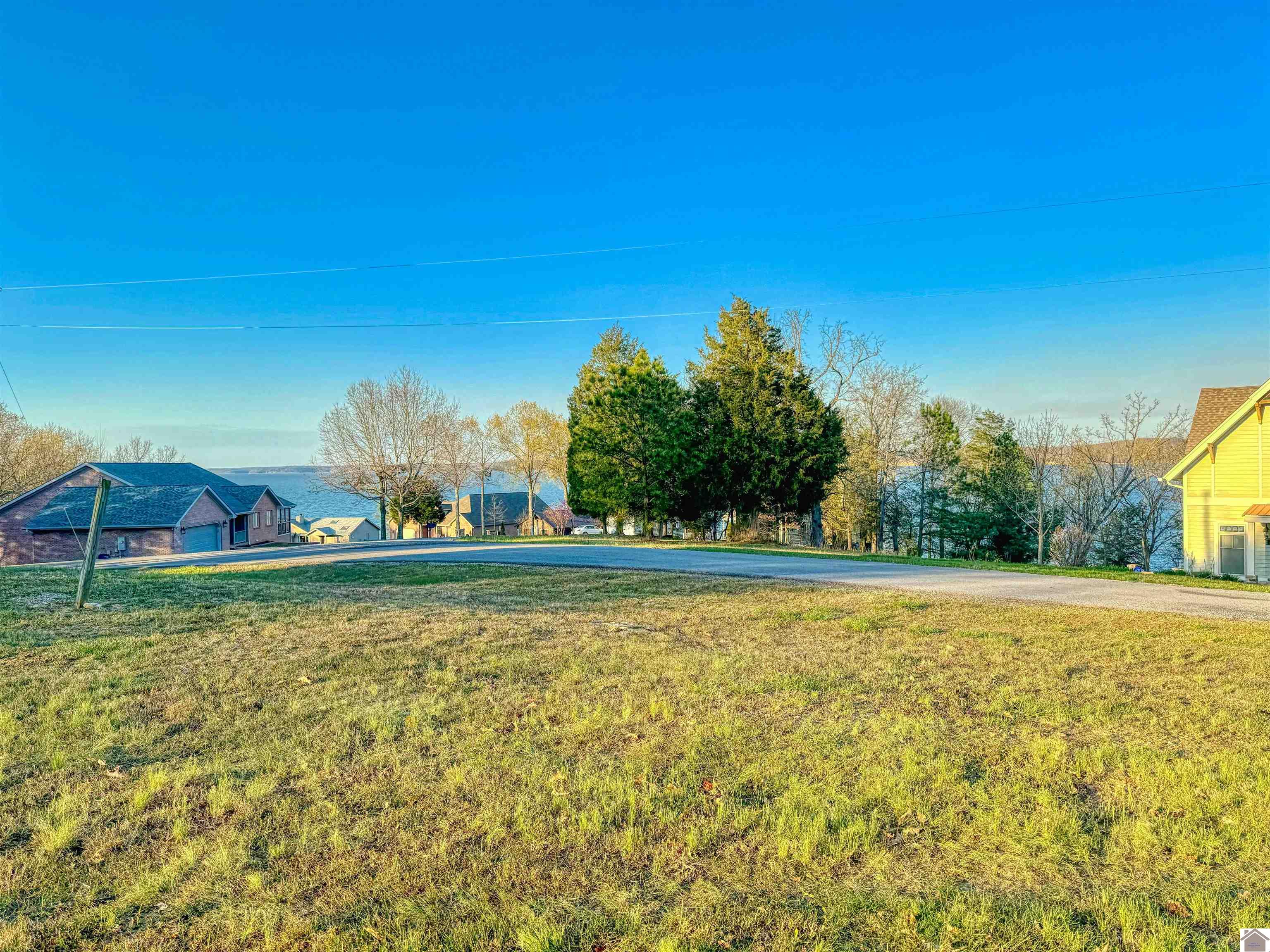 Lot 56 Patricia Drive, New Concord, KY 42076 Listing Photo  8