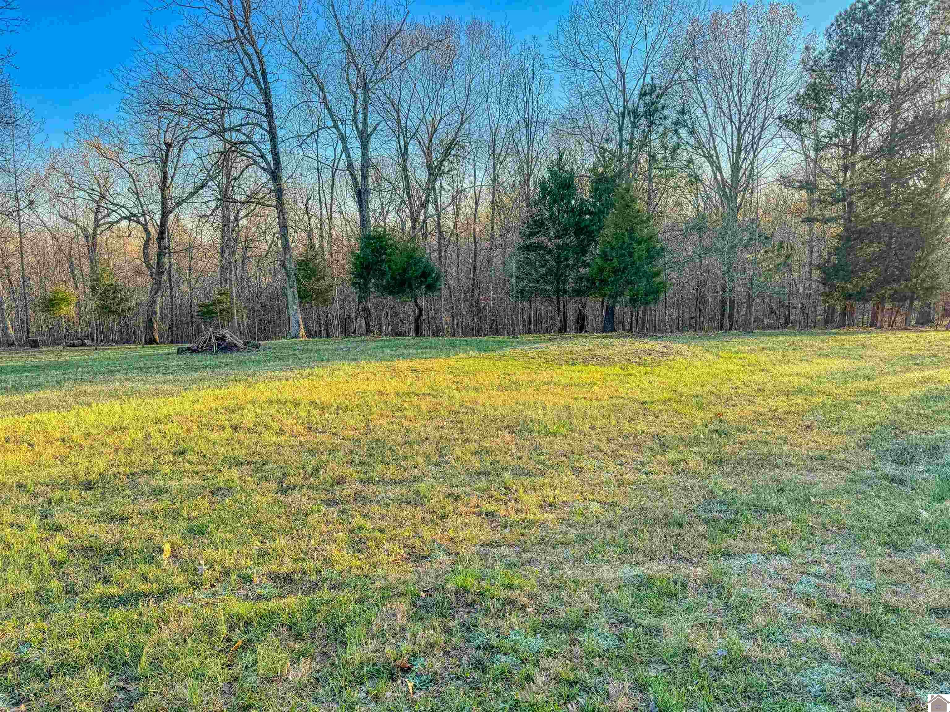 Lot 56 Patricia Drive, New Concord, KY 42076 Listing Photo  10
