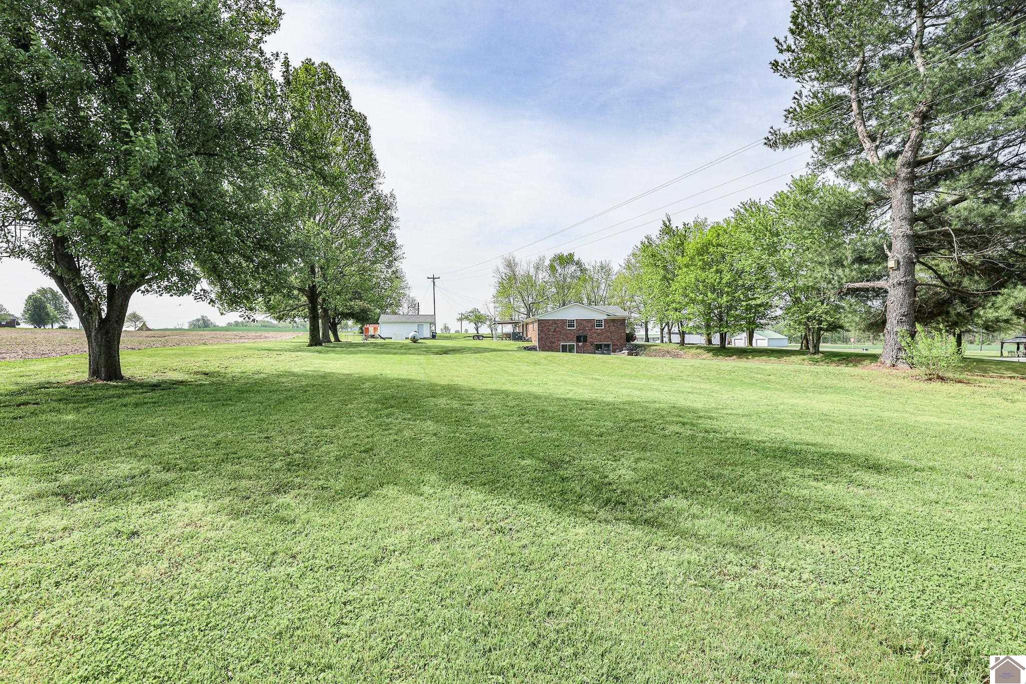 2586 State Route 307, Bardwell, KY 42023 Listing Photo  5