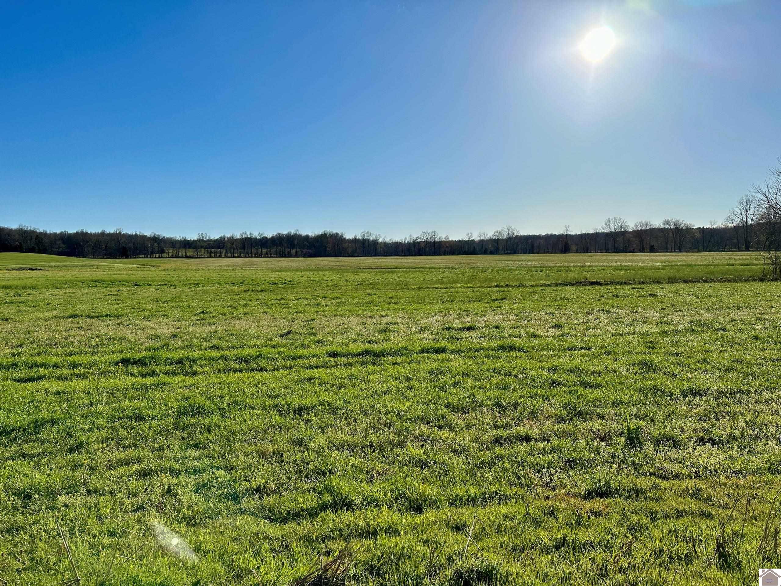 1395 Leighs Chapel Road, Greenville, Muhlenberg Co., KY 42345 Listing Photo  29