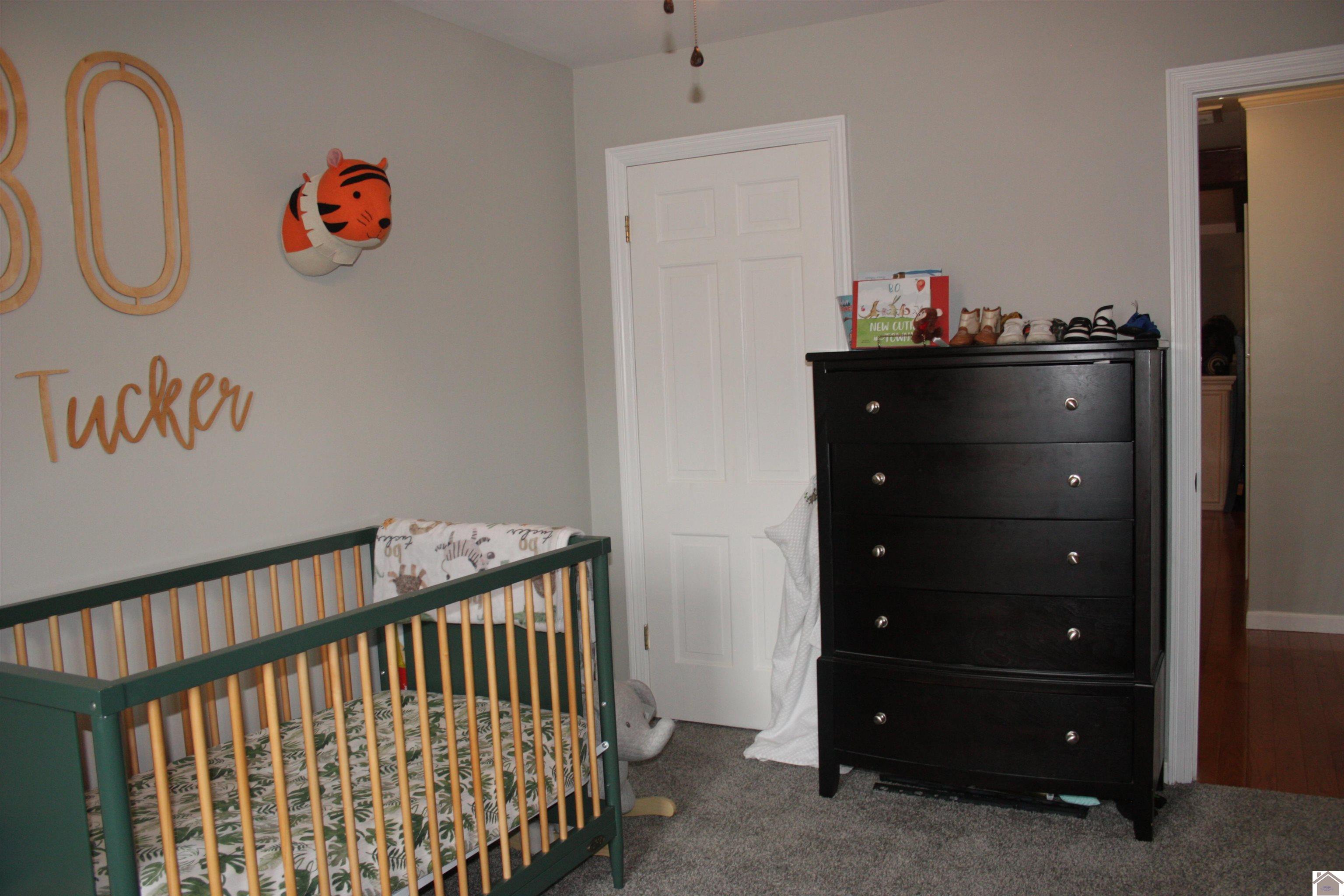 204 Erwin Drive, Mayfield, KY 42066 Listing Photo  24