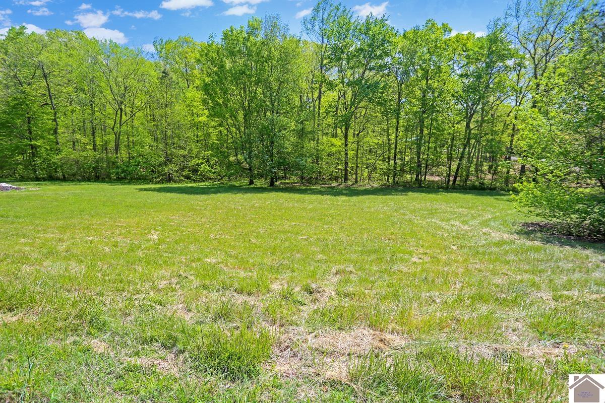 00 Myrtle Road, New Concord, KY 42076 Listing Photo  6