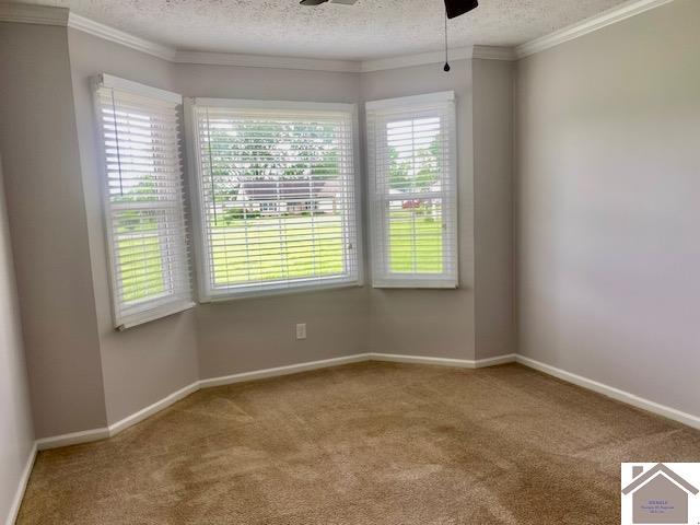 334 Haymarket Corner Rd, Mayfield, KY 42066 Listing Photo  14