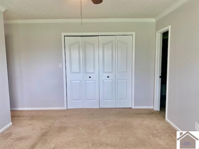 334 Haymarket Corner Rd, Mayfield, KY 42066 Listing Photo  17