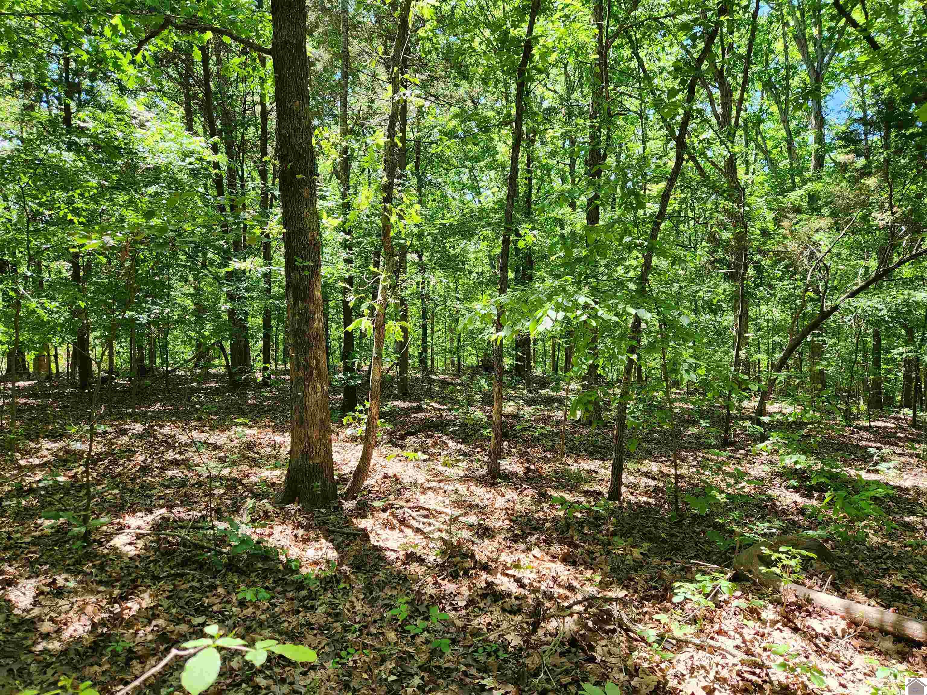 00 Hills Hollow Road, Lot 53, Murray, KY 42071 Listing Photo  1