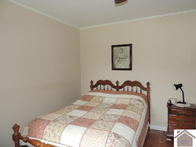 66 Coplen Rd, Mayfield, KY 42066 Listing Photo  17