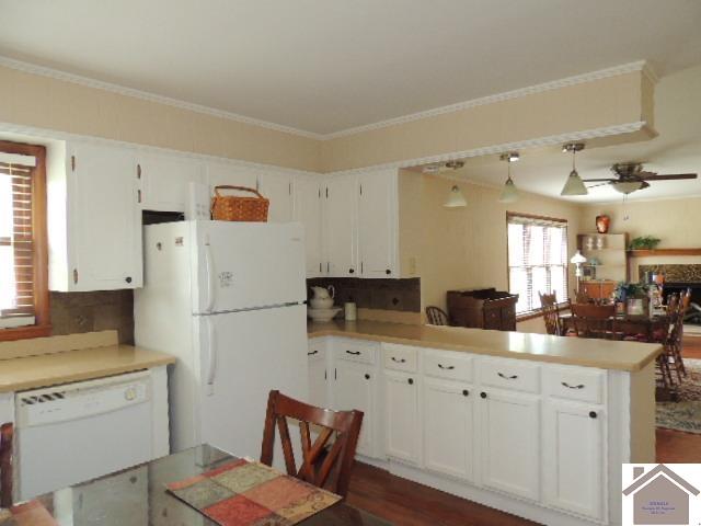 66 Coplen Rd, Mayfield, KY 42066 Listing Photo  9