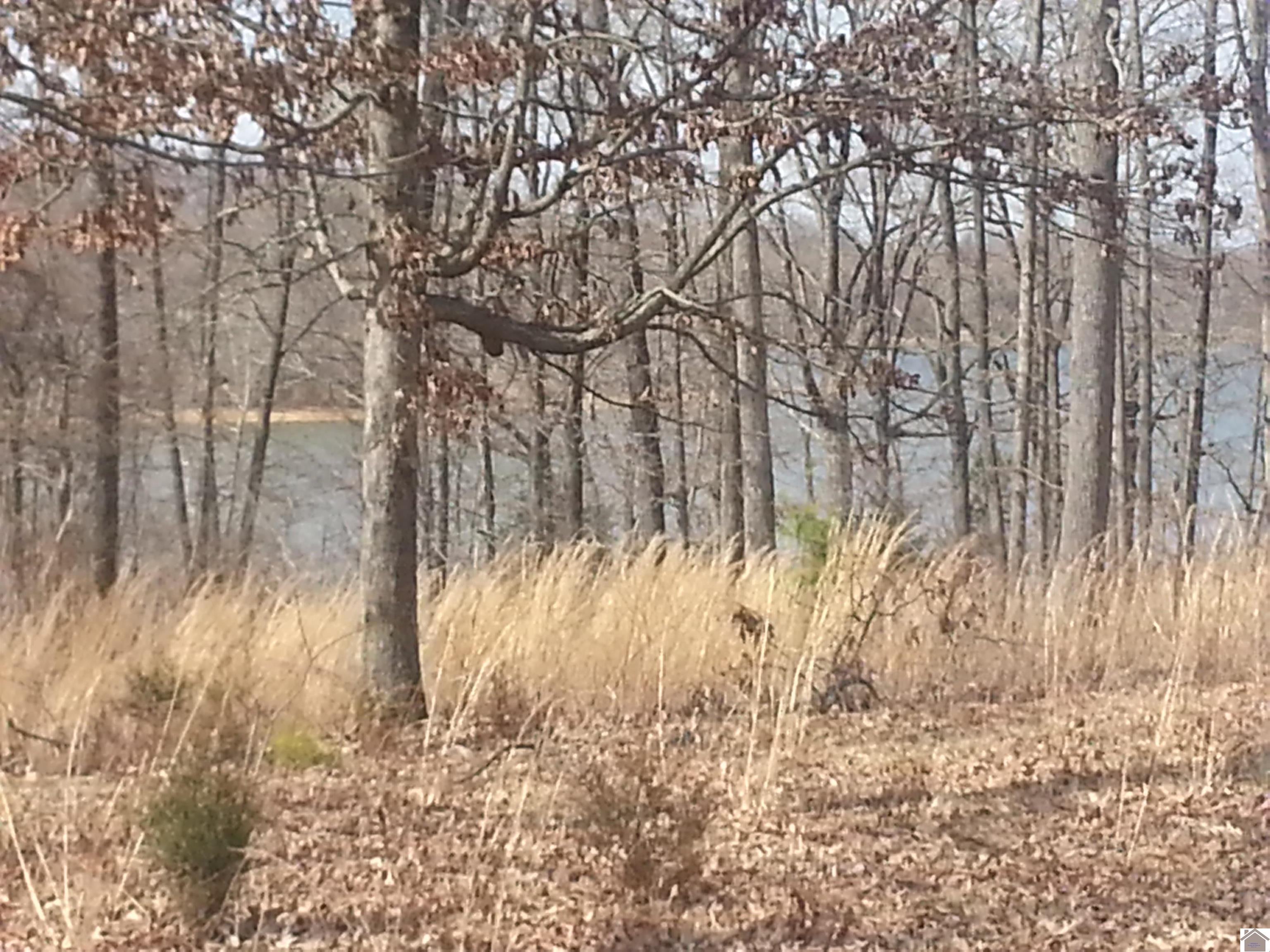 Lot 15 Bay Point Drive Benton KY 42025 Active