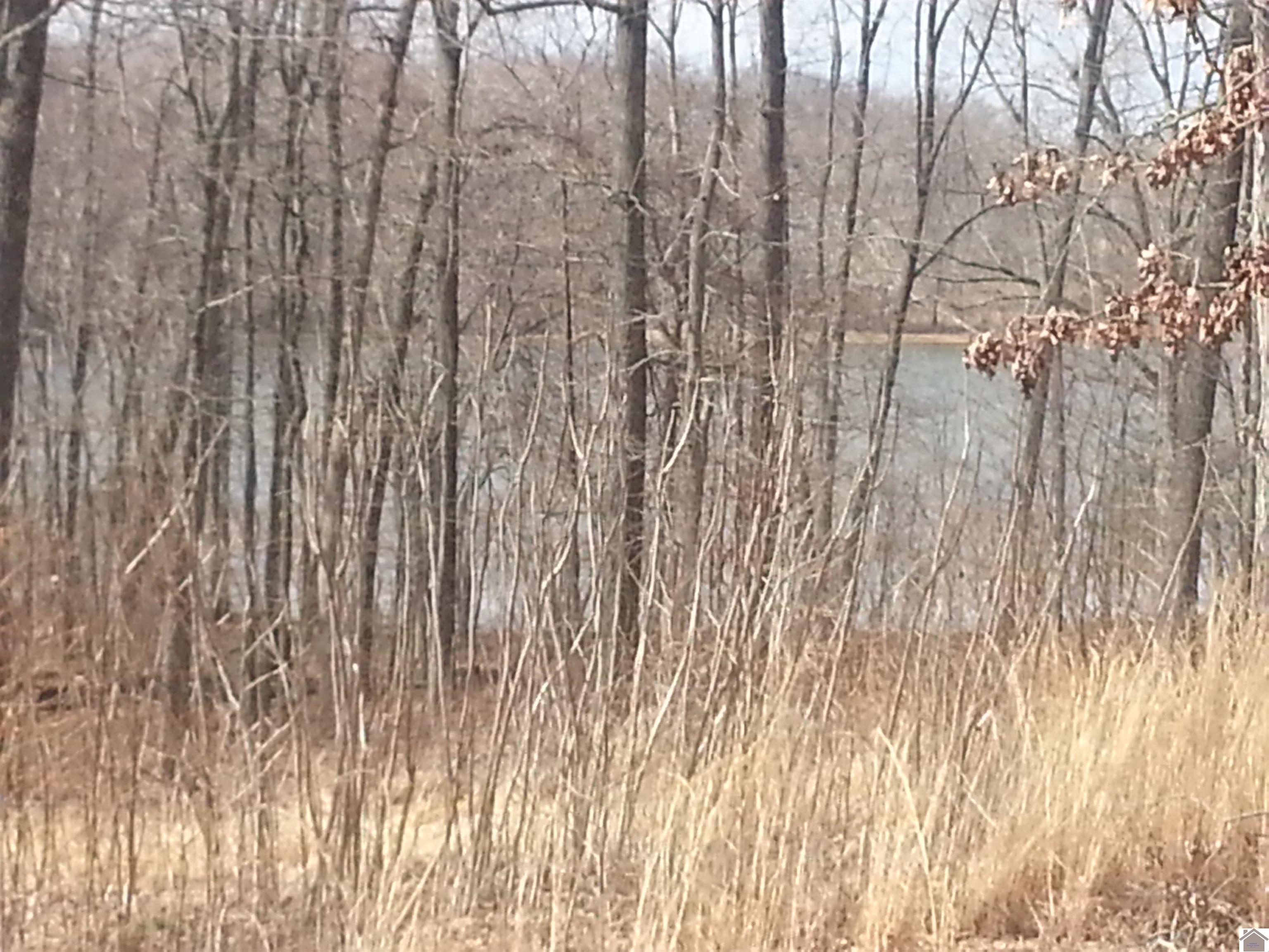 Lot 15 Bay Point Drive Benton KY 42025 Active