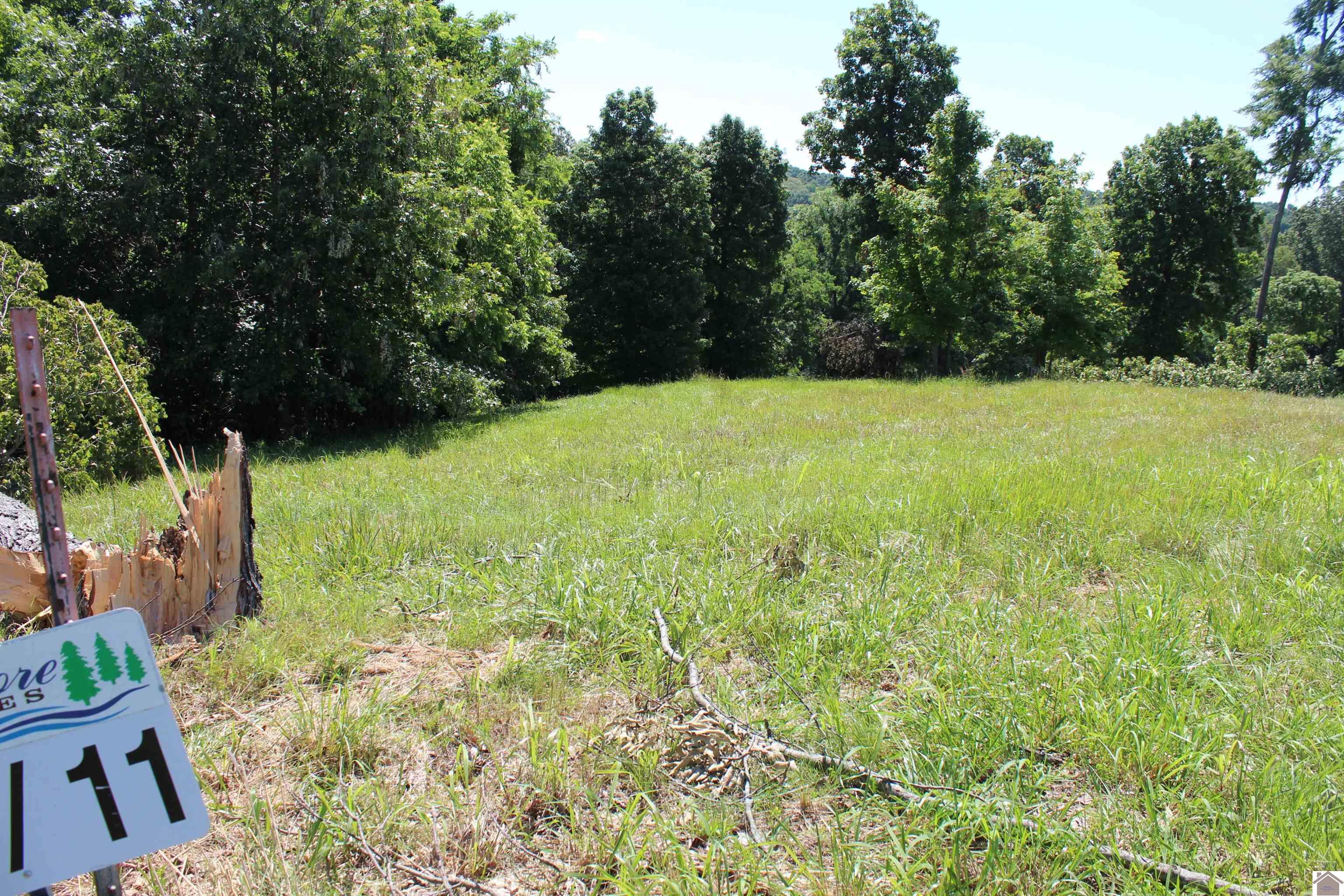 Lots 11 Oak View Lane, Eddyville, KY 42038 Listing Photo  1