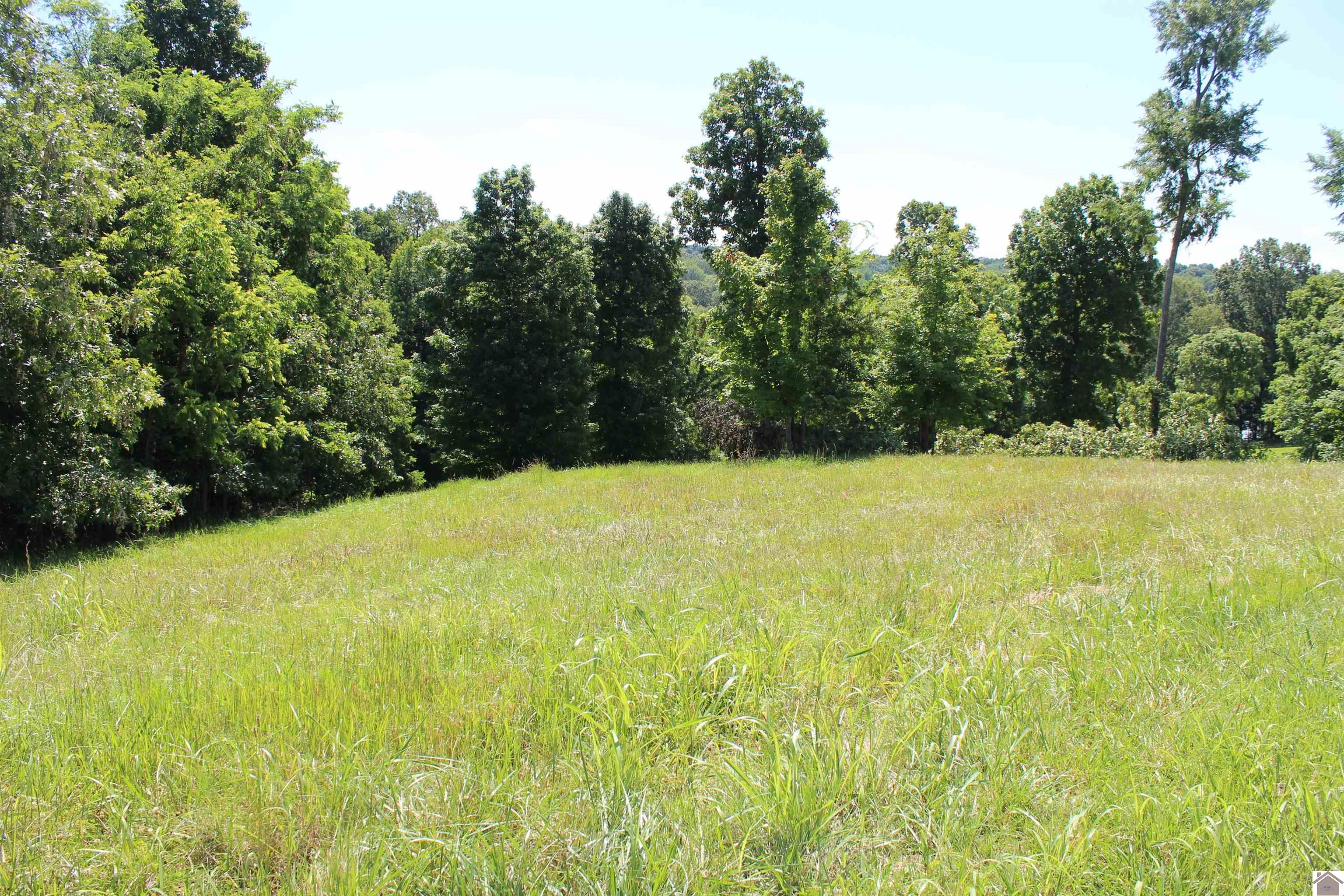 Lots 11 Oak View Lane, Eddyville, KY 42038 Listing Photo  2